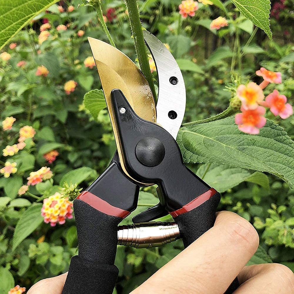Professional Gardening Scissors & Pruning Shears with Safety Lock - Sharp Stainless Steel Blades for Tree Trimming, Plant Pruning & Landscaping - Ergonomic Non-Slip Handle for Comfortable Use (Ideal for Gardeners, Florists & DIY Enthusiasts)
