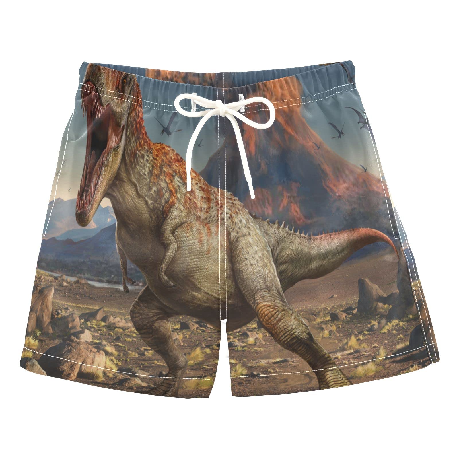 AMICHIC Boys Dinosaur Swim Trunks - Quick Dry Swim Board Shorts for Toddler Kids & Teens (2T-8) - Perfect for Beach, Pool & Summer Water Activities
