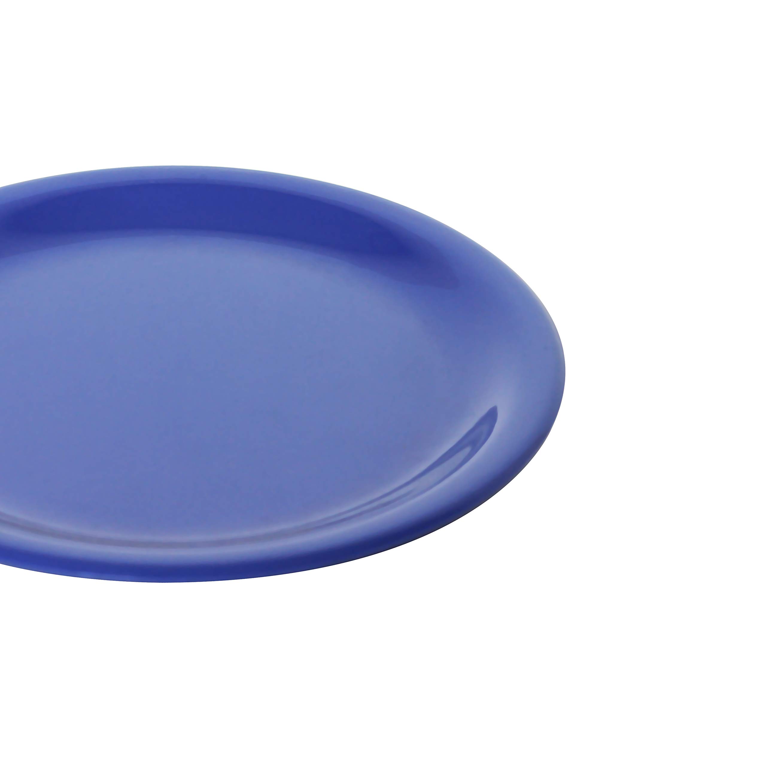Purple Melamine Dinner Plates Set of 12 - 10.5 Inch Round Narrow Rim Plates - Durable & Lightweight Dishware for Restaurants, Picnics, Outdoor Dining & Everyday Use