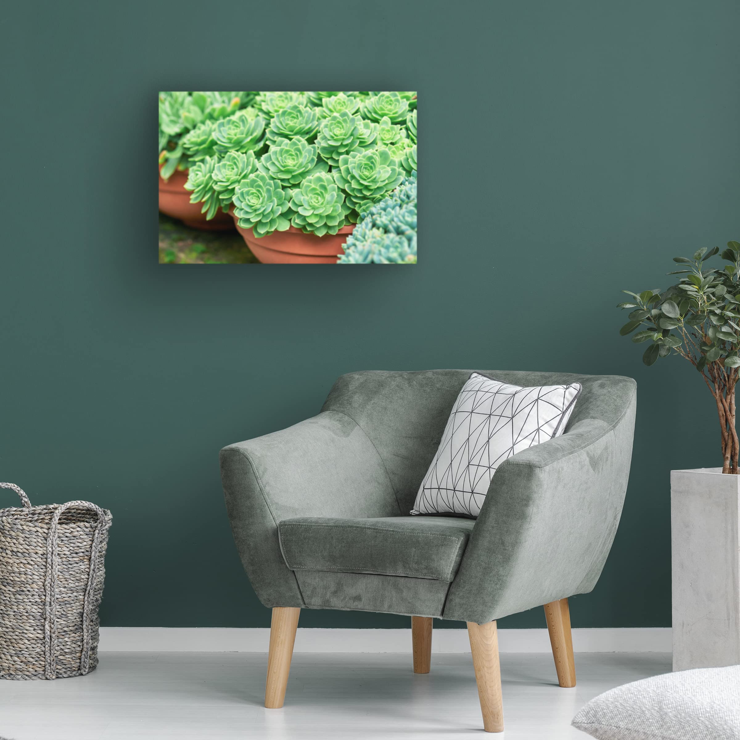 Trademark Fine Art 'Potted Succulents I' Canvas Wall Art by Cora Niele - Modern Botanical Painting for Living Room, Bedroom & Office Decor