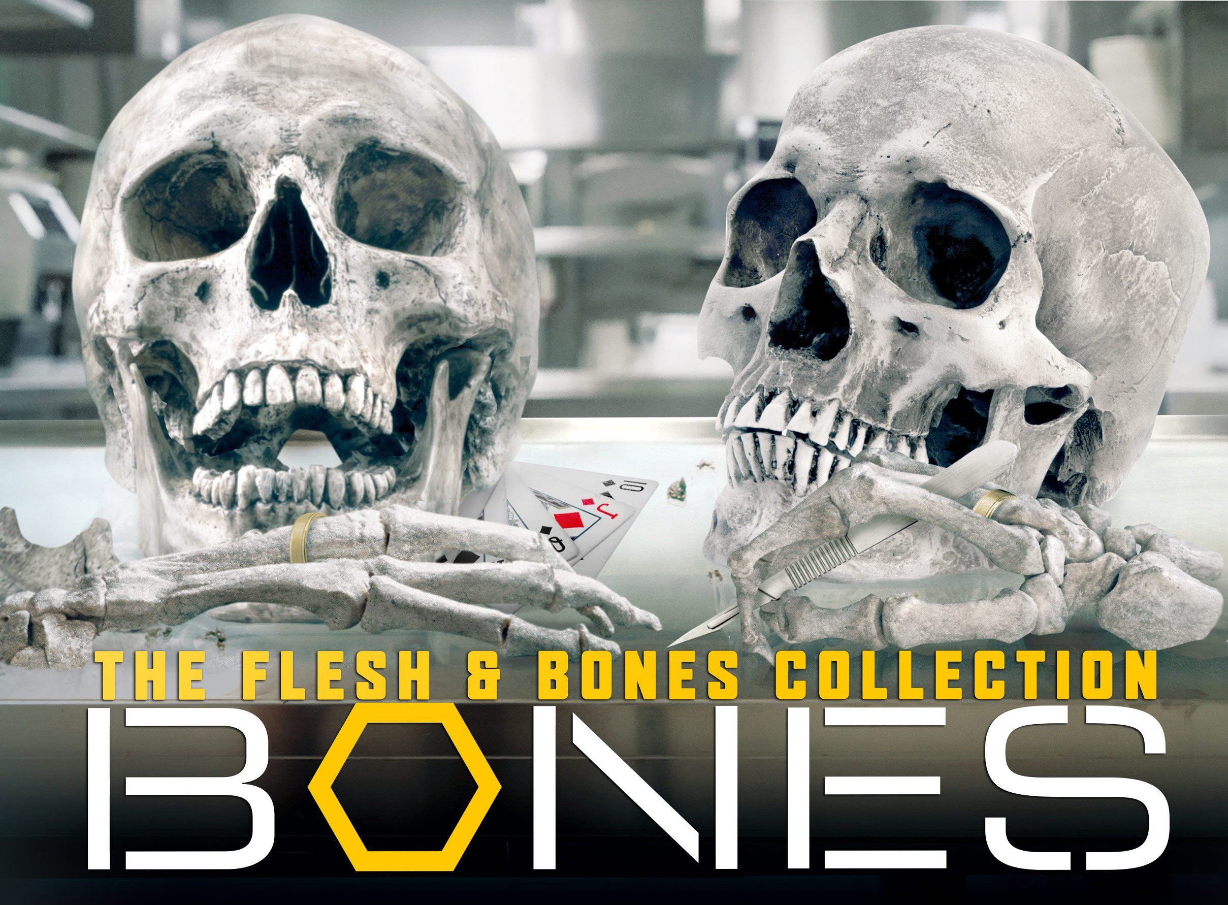 Bones: The Flesh & Bones Collection - Premium Skeleton Models for Anatomy Study, Halloween Decor & Gothic Home Decor