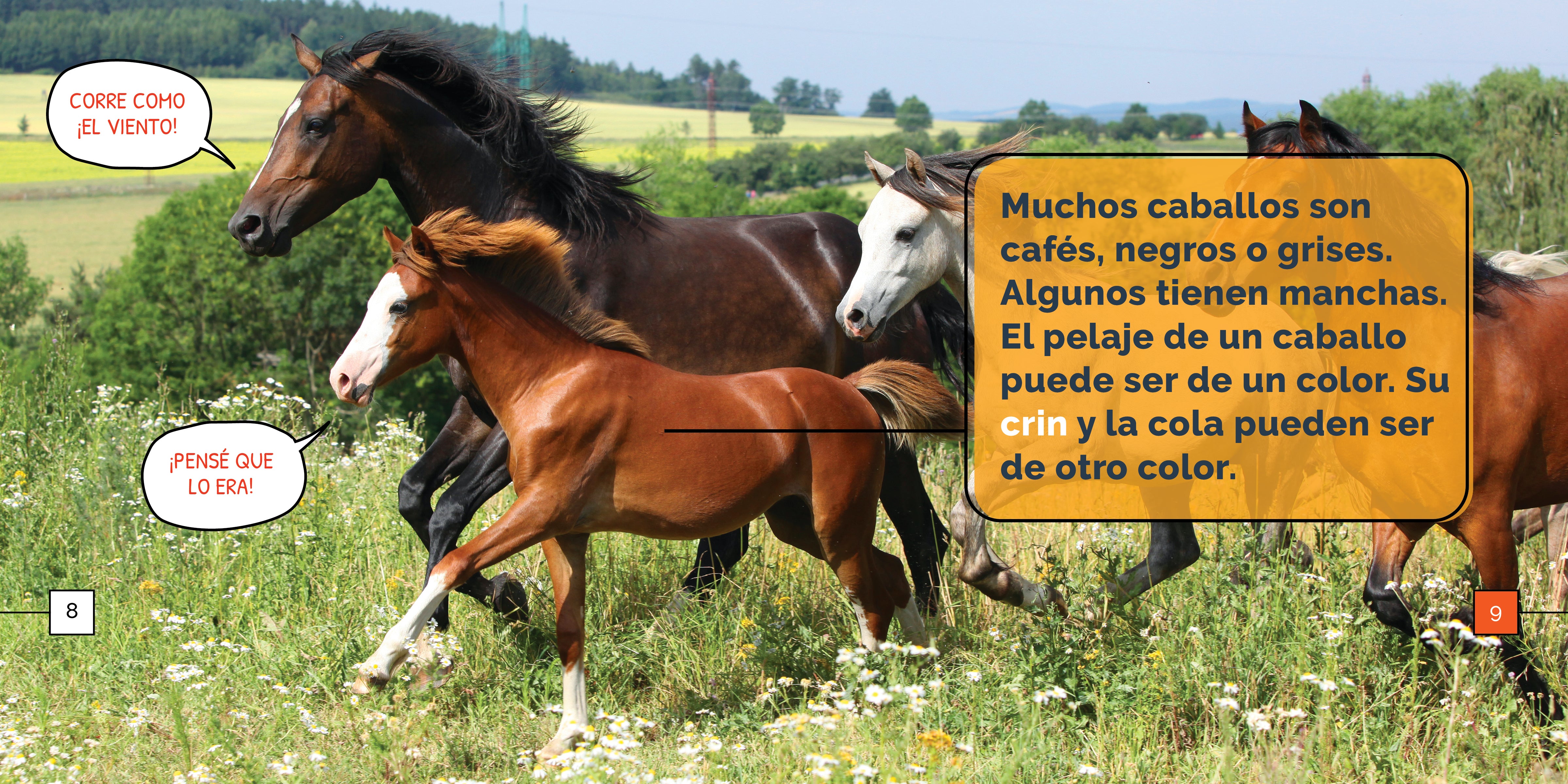 Los Caballos Maravillas - Beautiful Horse Figurines for Home Decor, Collectibles & Gifts | Perfect for Equestrian Lovers, Shelf Displays & Themed Parties