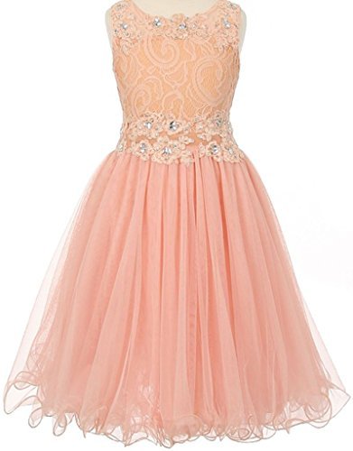 Little Girls' See-Through Waistline Lace Flower Dresses - Elegant & Comfortable Summer Outfits for Parties, Photos & Special Occasions