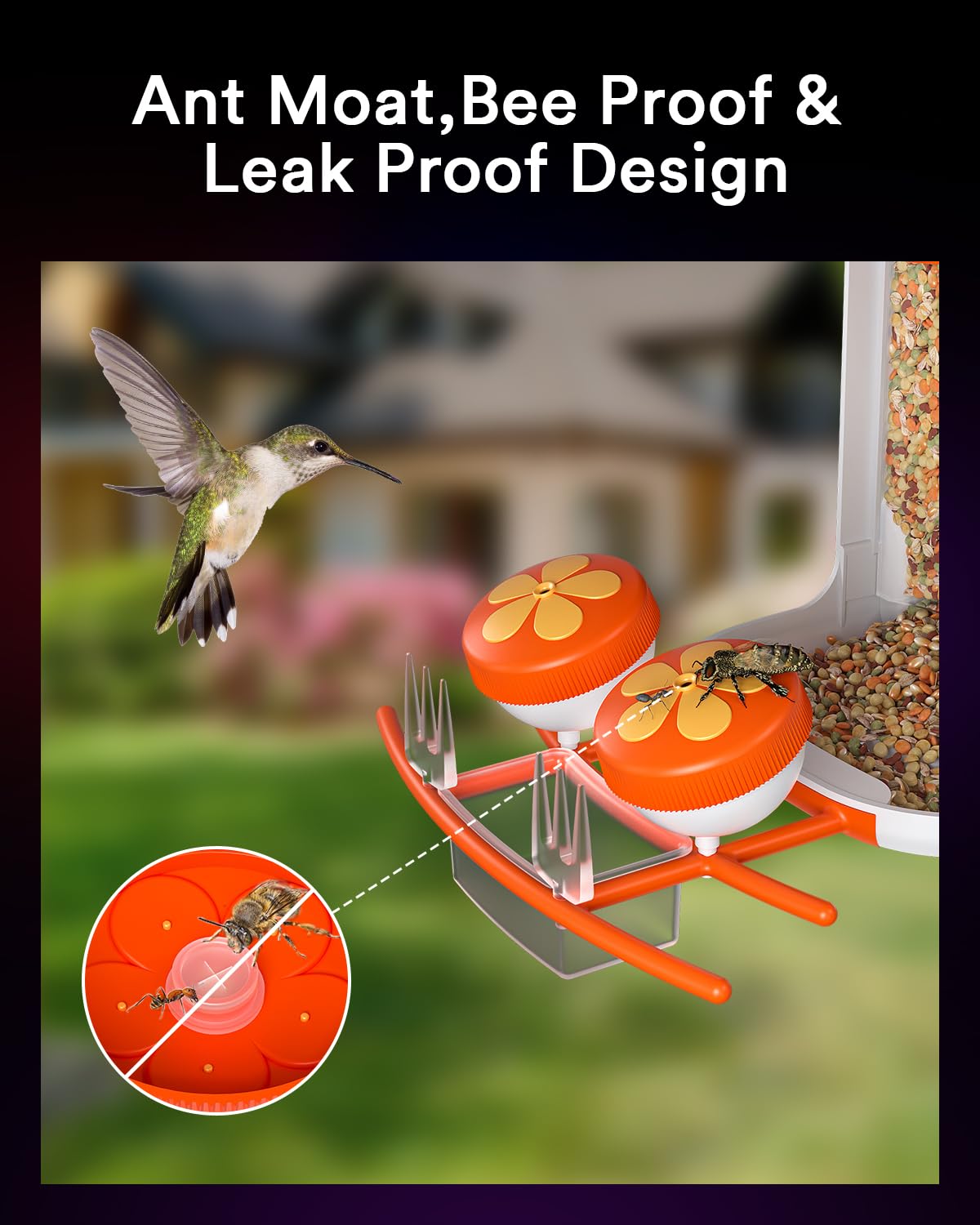 Lumary Smart Bird Feeder with Camera - Solar Powered 1080P HD, AI Identifies 10000+ Bird Species, Auto Video Capture & Motion Detection, 1.8L Capacity - Perfect for Bird Watching, Backyard Wildlife Monitoring, and Nature Enthusiast Gifts