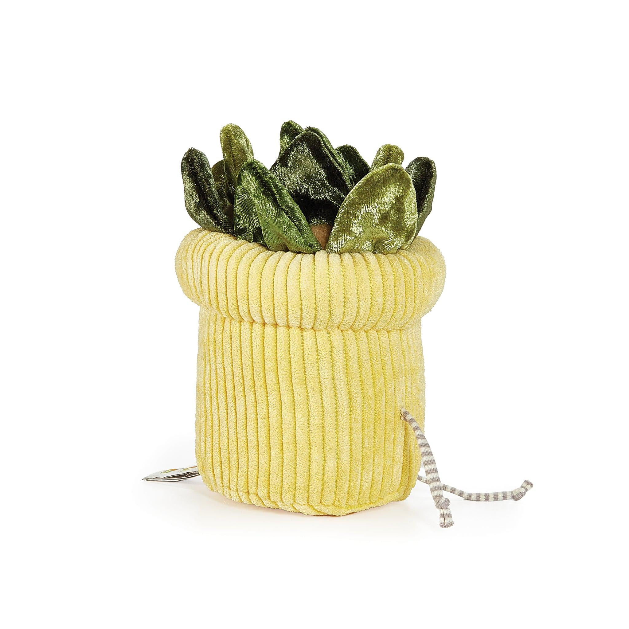 Soft Succulent Plush Pillow - Cute Decorative Throw Pillow for Windowsill, Desk, or Bed - Perfect for Home, Office, and Gift Giving