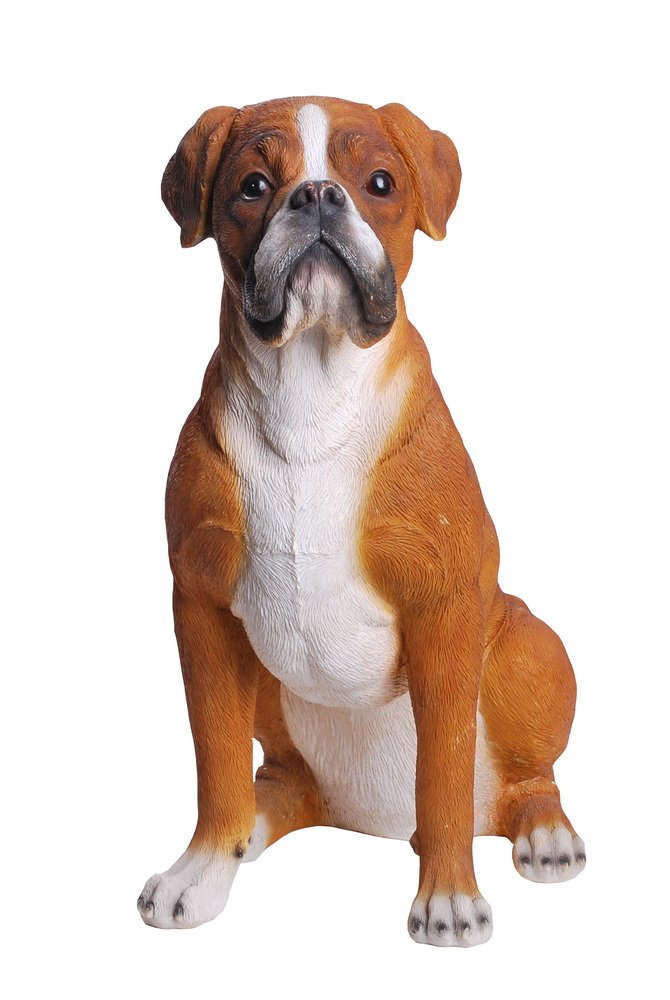 Hi-Line Gift Ltd Sitting Boxer Dog Statue - Realistic Handcrafted Home Decor Sculpture for Living Room, Office & Garden | Perfect Gift for Dog Lovers & Pet Owners