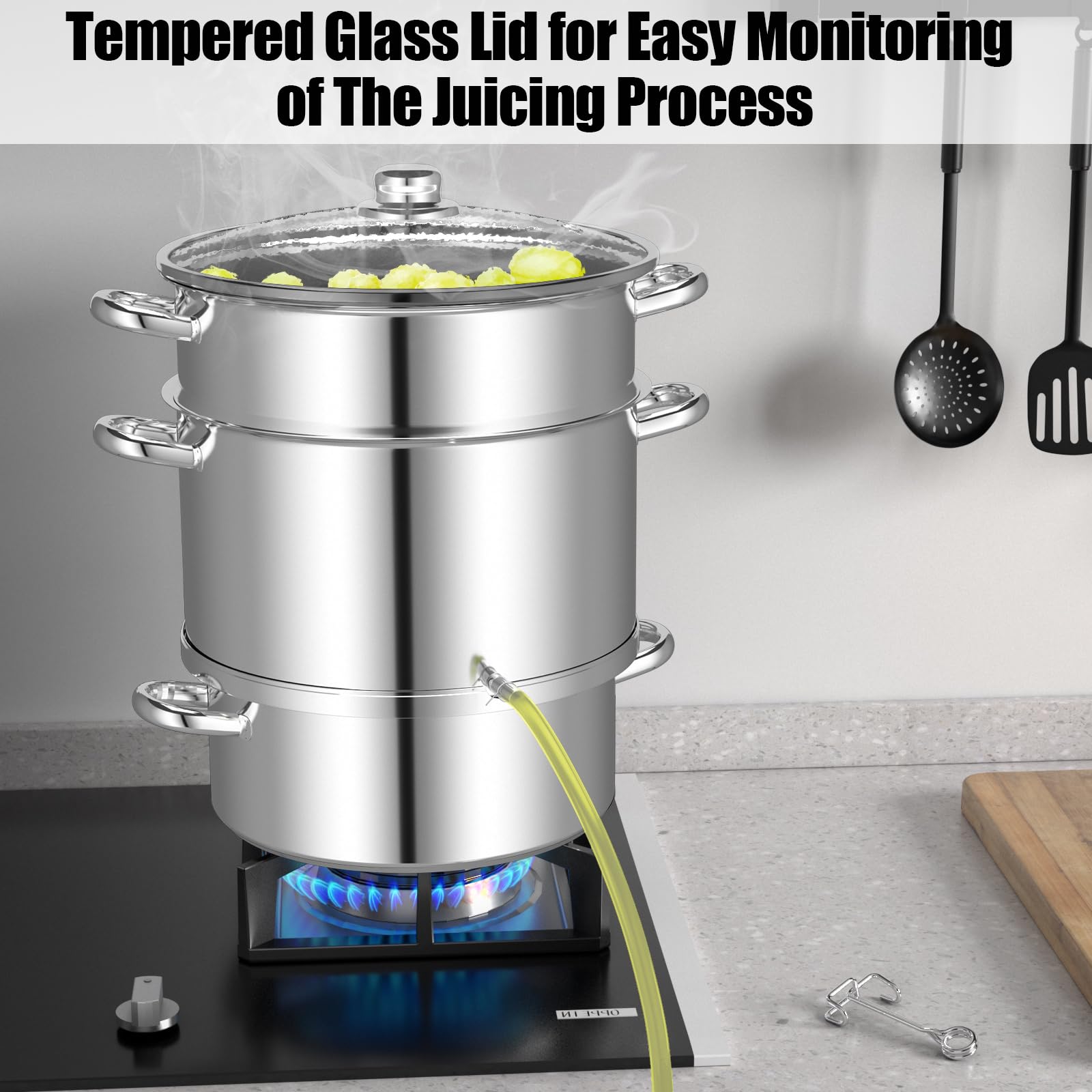 Giantex 11 Quart Stainless Steel Steam Juicer with Tempered Glass Lid, Hose & Clamp - Multi-Purpose Kitchen Cookware for Juicing Fruits, Vegetables, Making Jelly & Pasta - Perfect for Home Canning, Preserving & Healthy Cooking