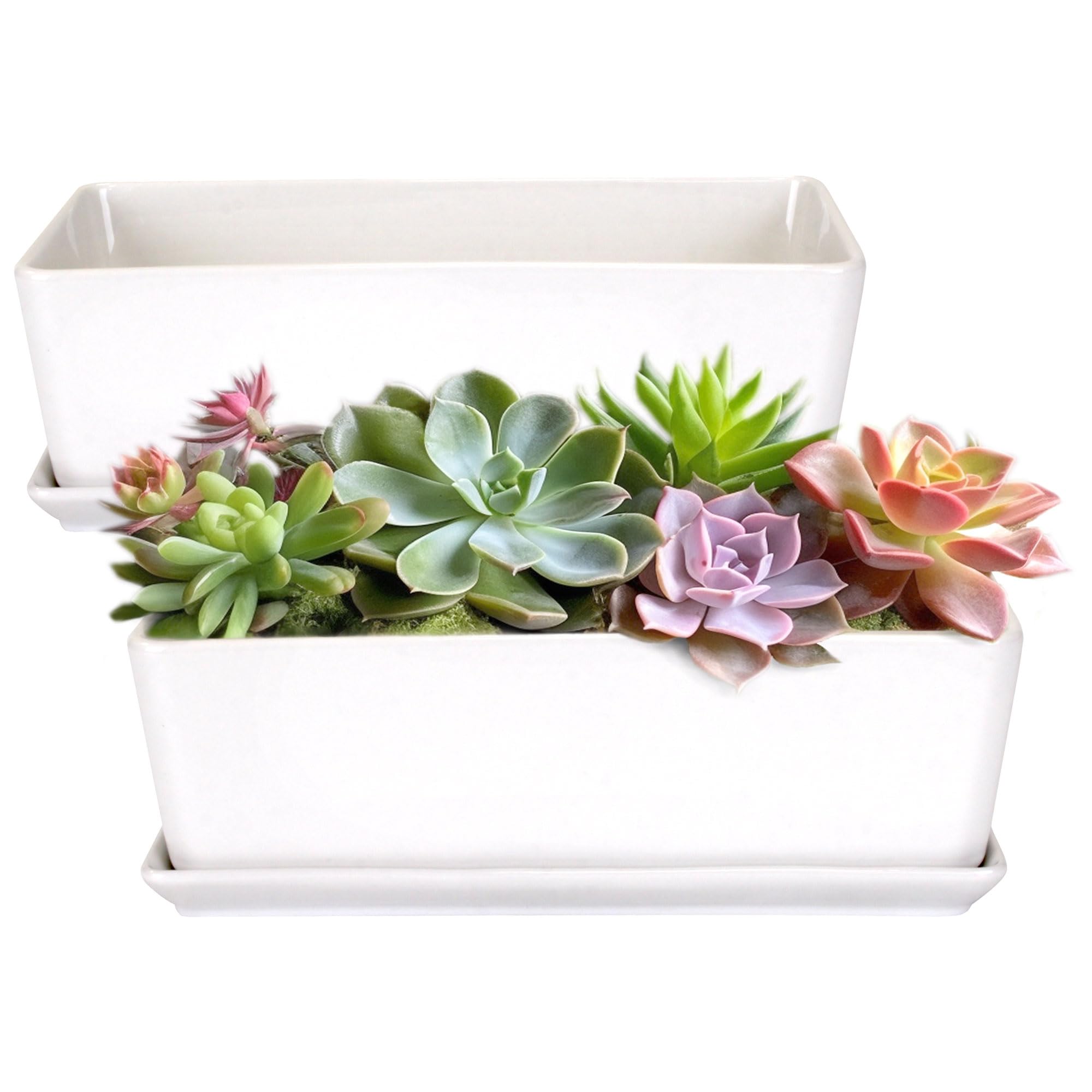 BambooMN White Ceramic Succulent Planter Pot with Drainage Tray - 10.1 Inch Short Rectangle Flower Pot for Indoor Plants, Home Decor, Office Desk, and Garden Succulents