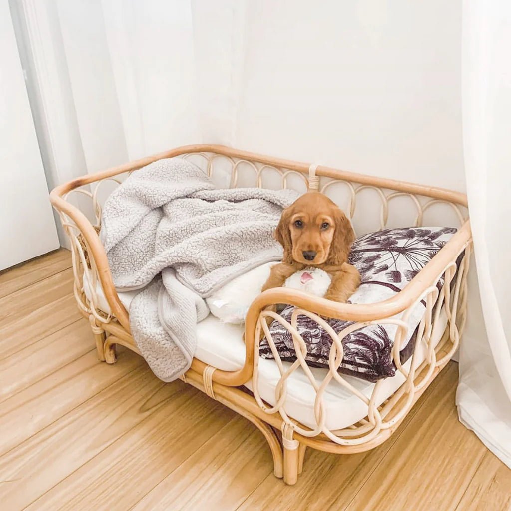 Premium Molly Rattan Dog Bed - Durable & Stylish Pet Bed for Small & Medium Dogs - Perfect for Indoor & Outdoor Use - Available in 2 Sizes