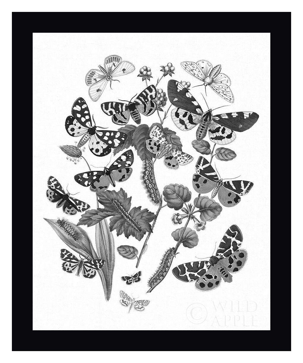 Butterfly Bouquet IV Linen BW IV Framed Canvas Art Print - 25