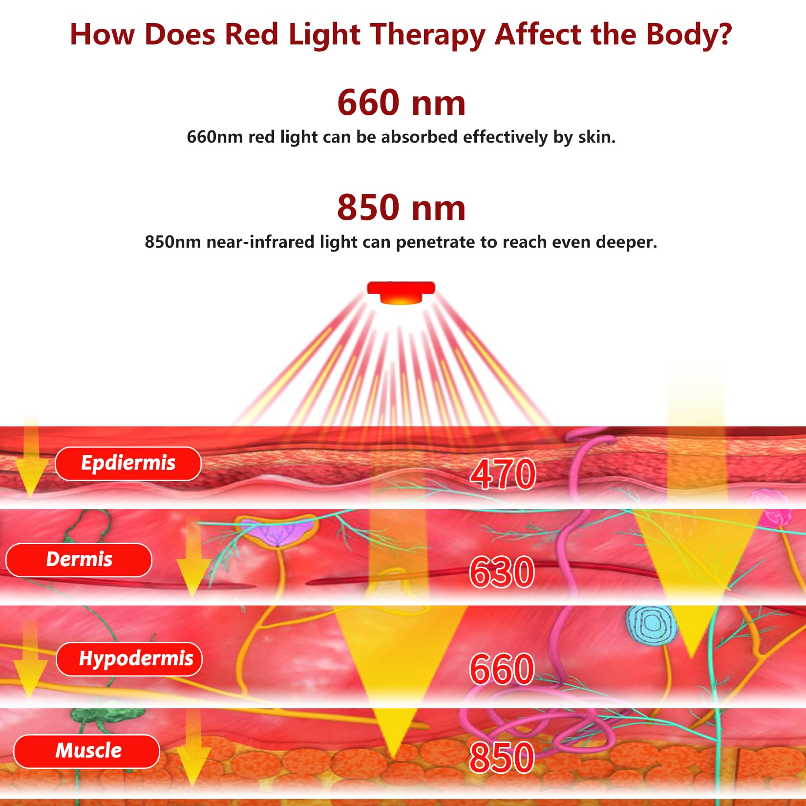 Portable Cordless Red Light Therapy Device for Shoulder Pain Relief - 4000mAh Battery Wireless Near Infrared Light Therapy Wrap for Arm, Body & Muscle Relaxation | Home Use, Post-Workout Recovery, Chronic Pain Treatment