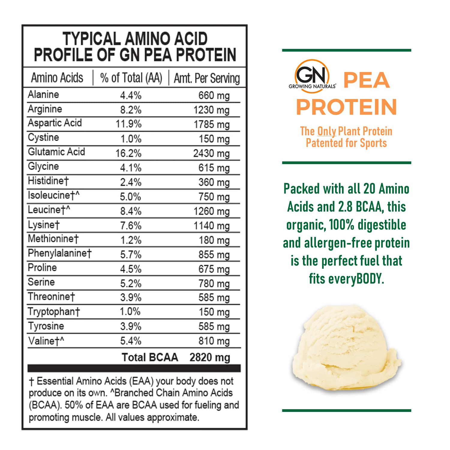 Organic Vegan Pea Protein Powder - Plant-Based Protein with BCAA, Low Carb & Sugar, Vanilla Flavor, 1lb (Pack of 1) | Perfect for Smoothies, Baking & Post-Workout Recovery