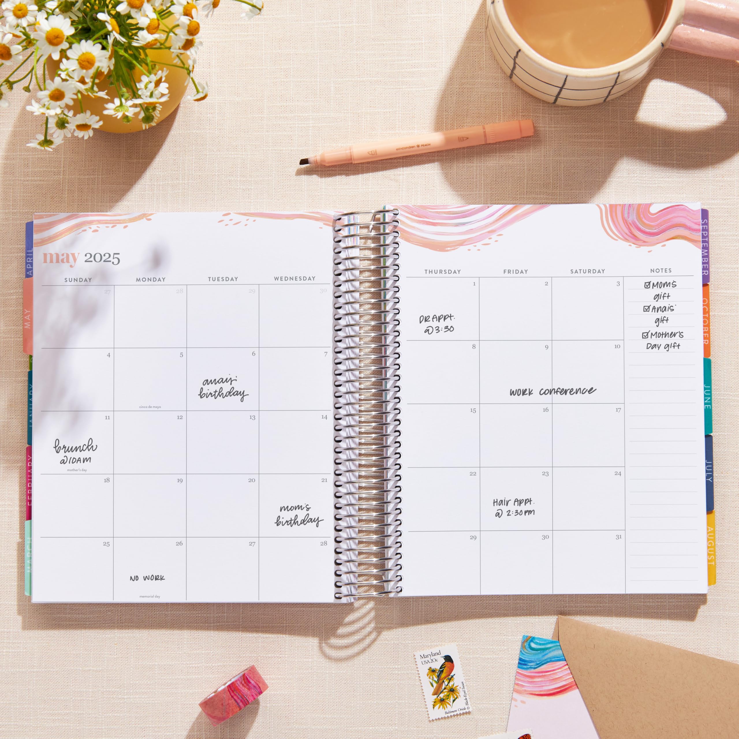 Erin Condren 2025 Spiral Life Planner - 12 Month Weekly & Monthly Organizer (Jan-Dec) | 7x9 Vertical Layout with Evolve Covers & Platinum Coil | Perfect for Work, School, College Students & Productivity Planning