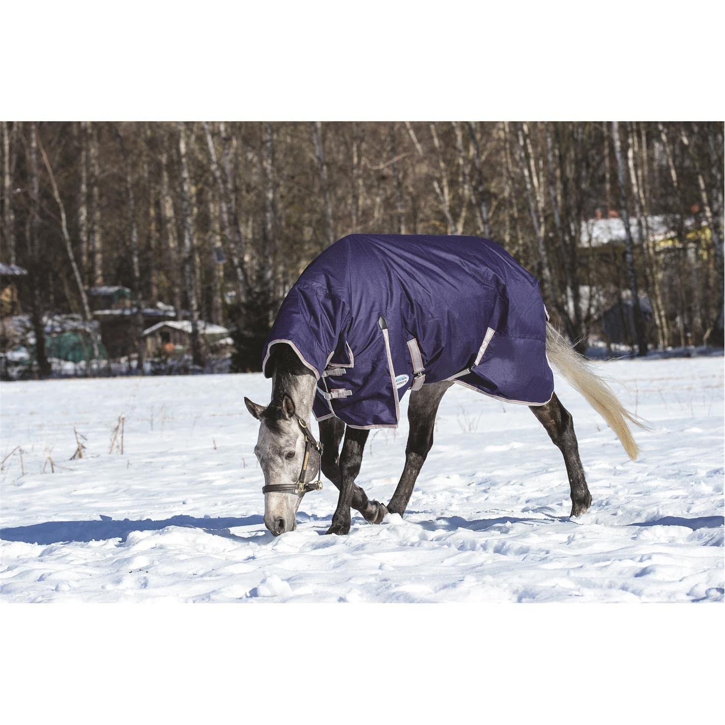 Weatherbeeta Comfitec Essential Combo Neck Medium Horse Blanket - Waterproof & Breathable Turnout Rug for All-Weather Riding & Stable Use