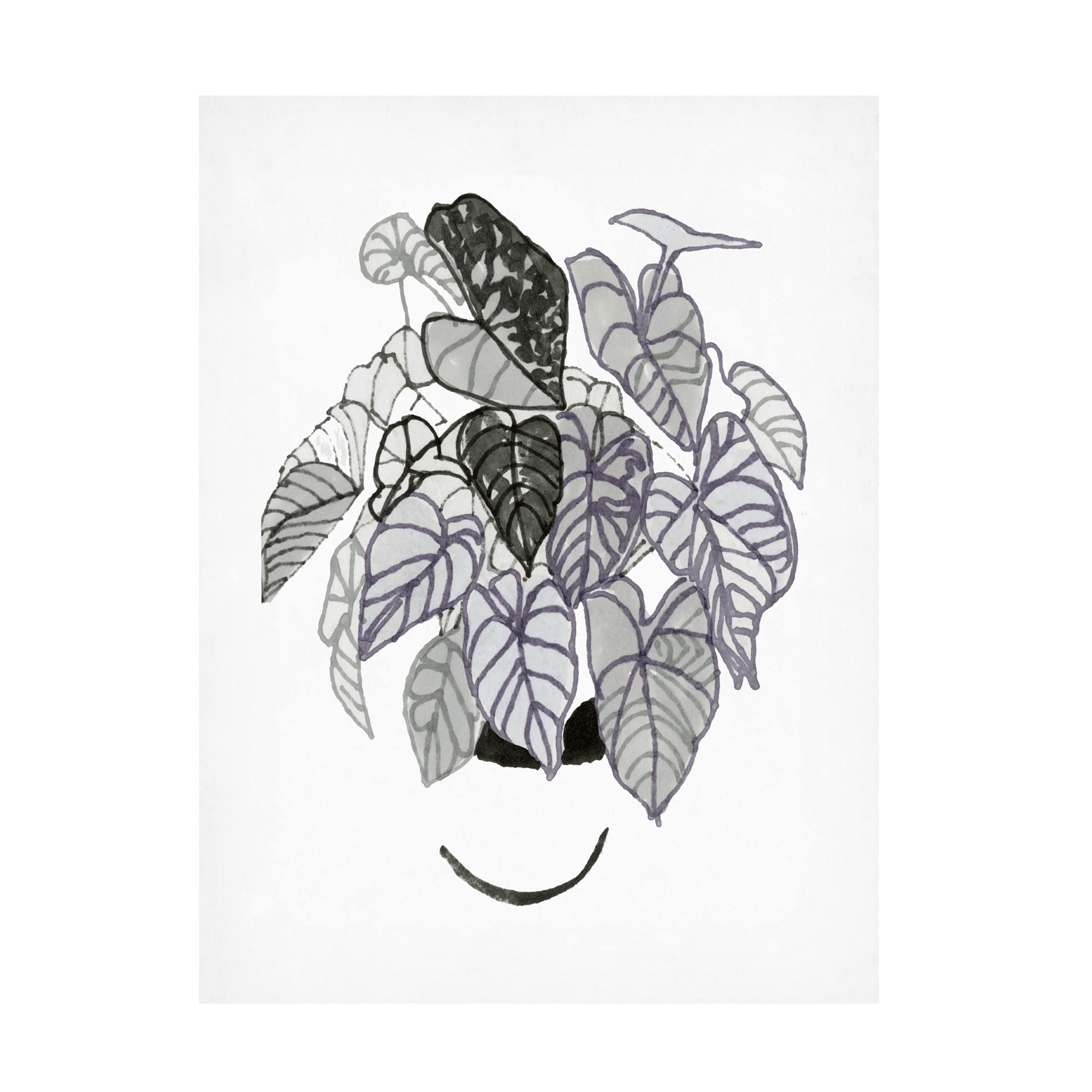 Stellar Design Studio 'Black And White Indoor Plant I' Canvas Wall Art Print - Modern Botanical Home Decor for Living Room, Bedroom & Office
