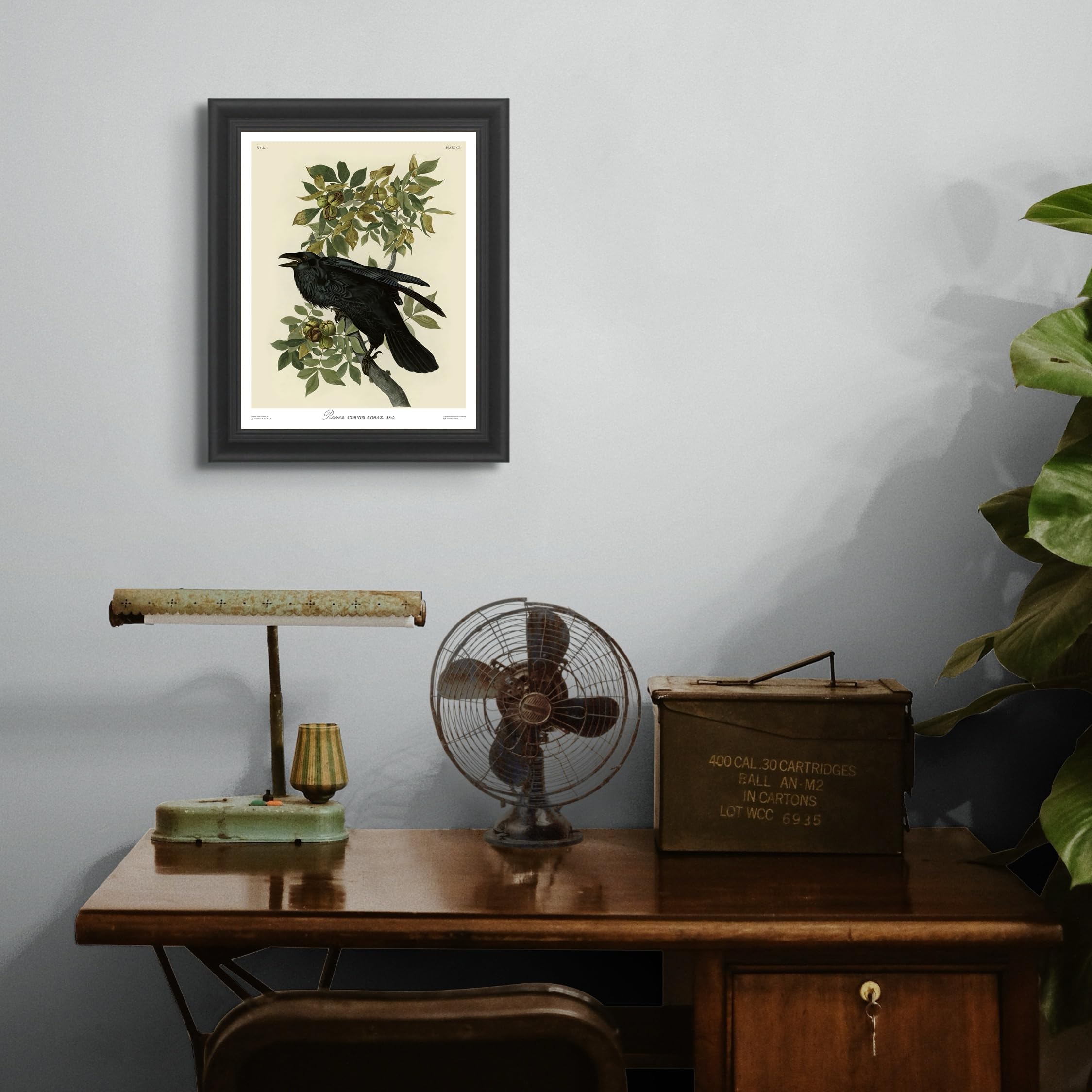 James Audubon Raven Framed Poster - Premium Wall Art Print for Nature & Wildlife Enthusiasts - Perfect for Home, Living Room, Office & Study Decor
