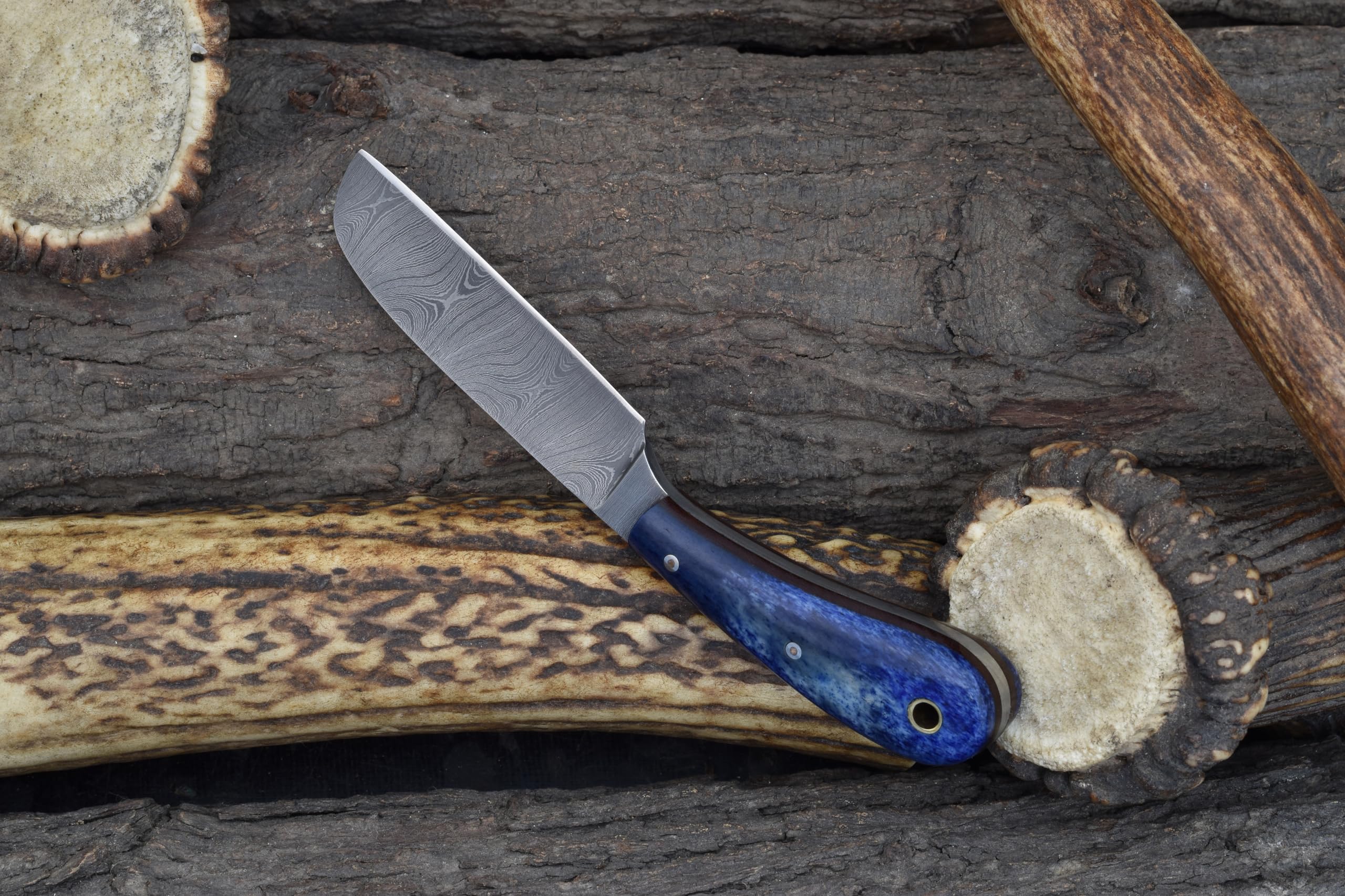 Premium Damascus Steel Castration Knife with Blue Dyed Sheep Bone Handle - Dual Carry Vertical/Horizontal Leather Sheath (3177-BLU) | Ideal for Ranch Work, Livestock Care & Cowboy Outfits