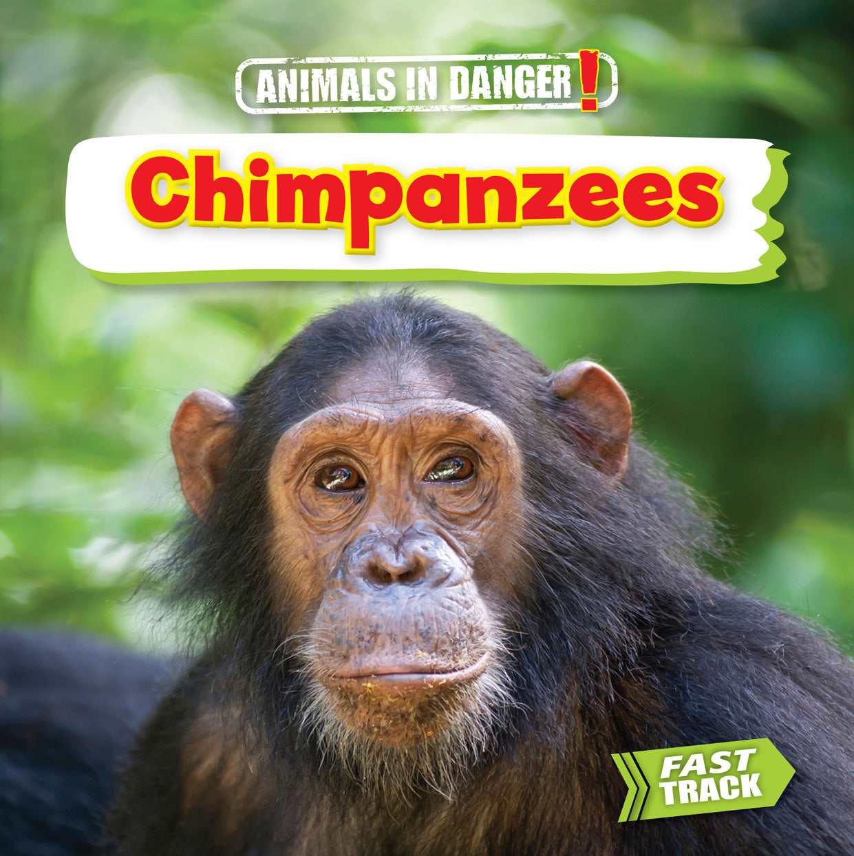 Endangered Chimpanzees - Save Wildlife & Protect Chimpanzee Habitats | Perfect for Animal Lovers, Conservationists & Eco-Friendly Gifts