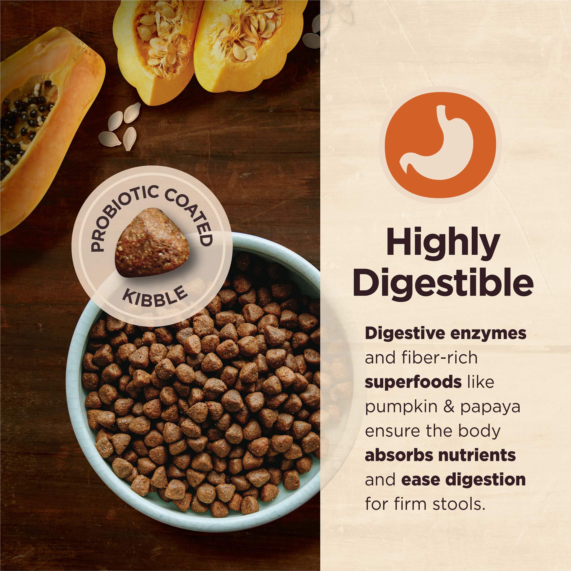 **Wellness CORE Digestive Health Dry Dog Food with Wholesome Grains, Whitefish & Brown Rice – 22lb Bag | Skin & Coat Health Dog Food Topper | Perfect for Sensitive Stomachs & Healthy Digestion**    *(Use Case: Ideal for adult dogs with digestive sensitivities, promoting gut health and a shiny coat. Great for daily meals or as a nutritious topper!)*