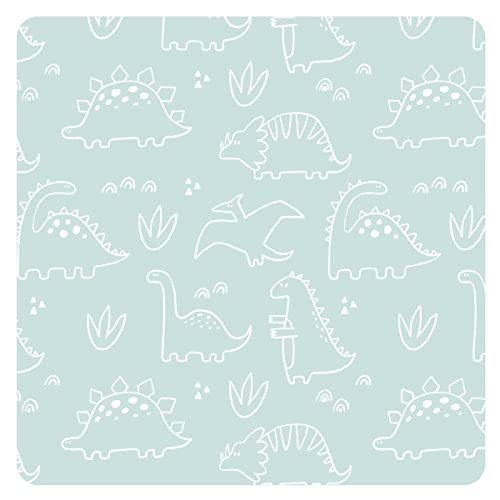 Dino Friends Sage