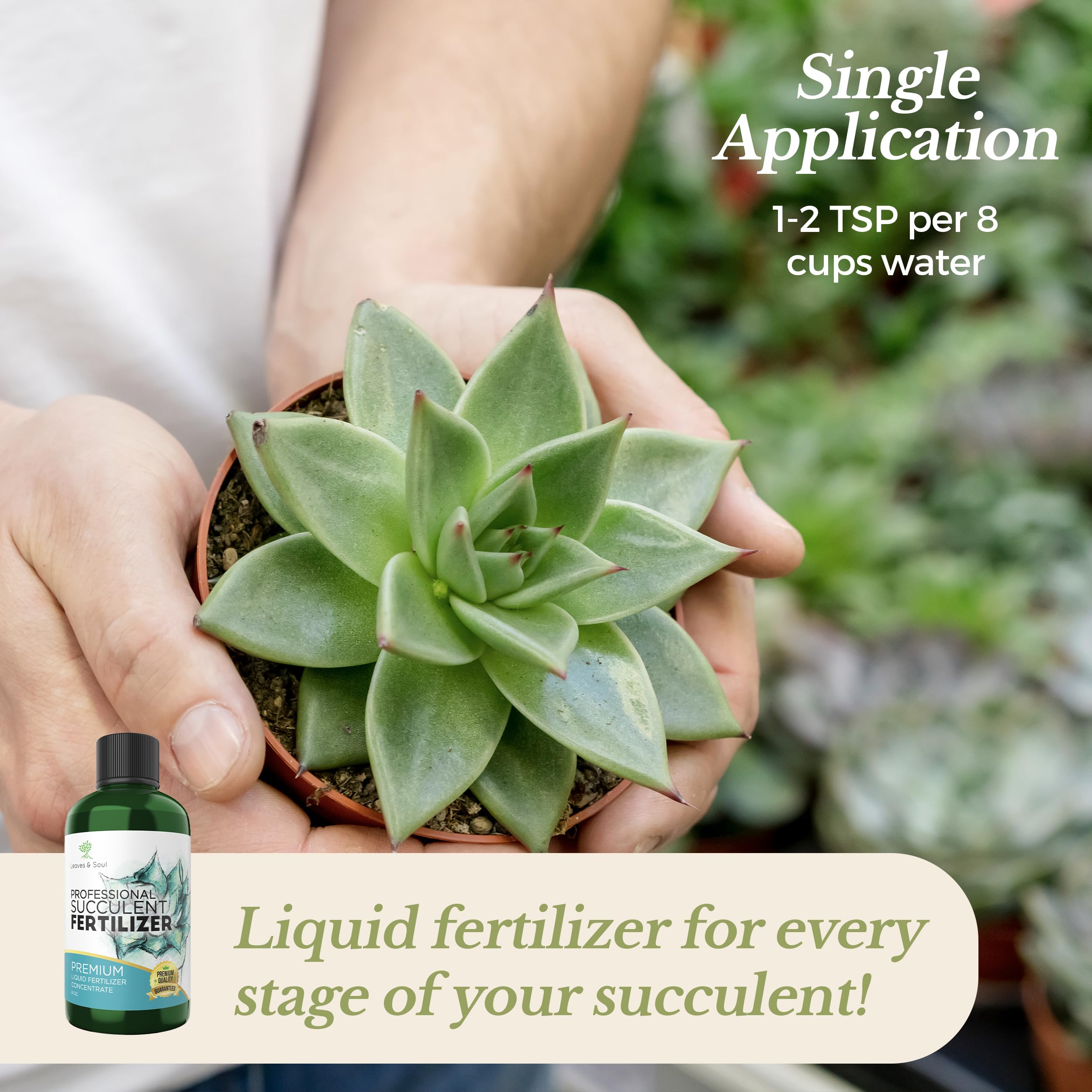 Premium Liquid Succulent Plant Food - 3-1-2 NPK Concentrated Fertilizer for Succulents, Cacti & Flowers | All-Purpose Nutrient Solution for Indoor & Outdoor Gardening | 8oz Bottle | Perfect for Home Decor, Office Plants & Garden Care