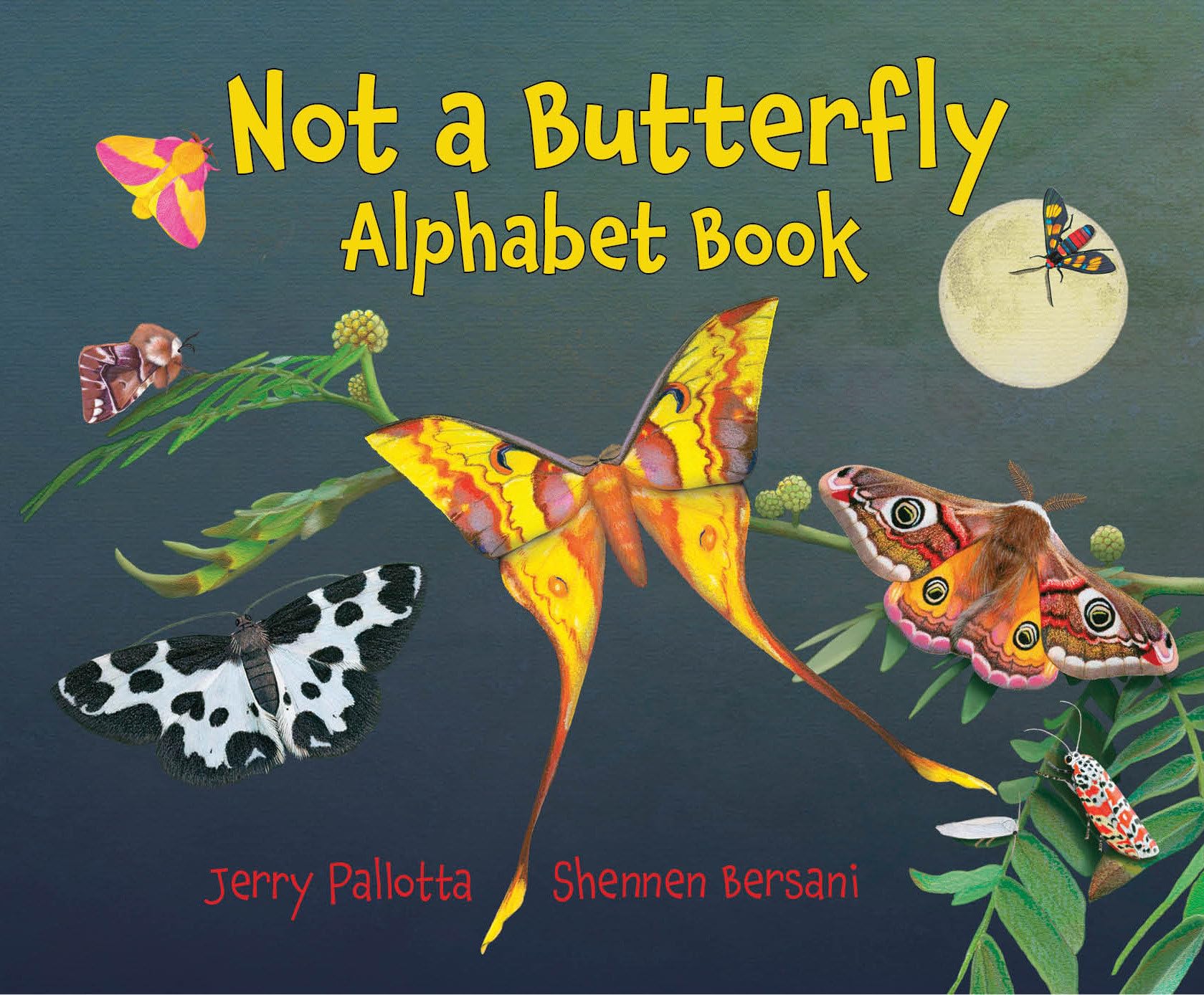 Not a Butterfly Alphabet Book: A Unique Moth-Themed Learning Guide for Kids | Perfect for Homeschooling & Nature Education