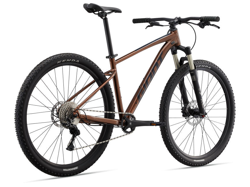 Giant Talon 1 29er Hardtail Mountain Bike for Men & Women - 21-Speed Aluminum Frame MTB for Trail Riding & Off-Road Adventures