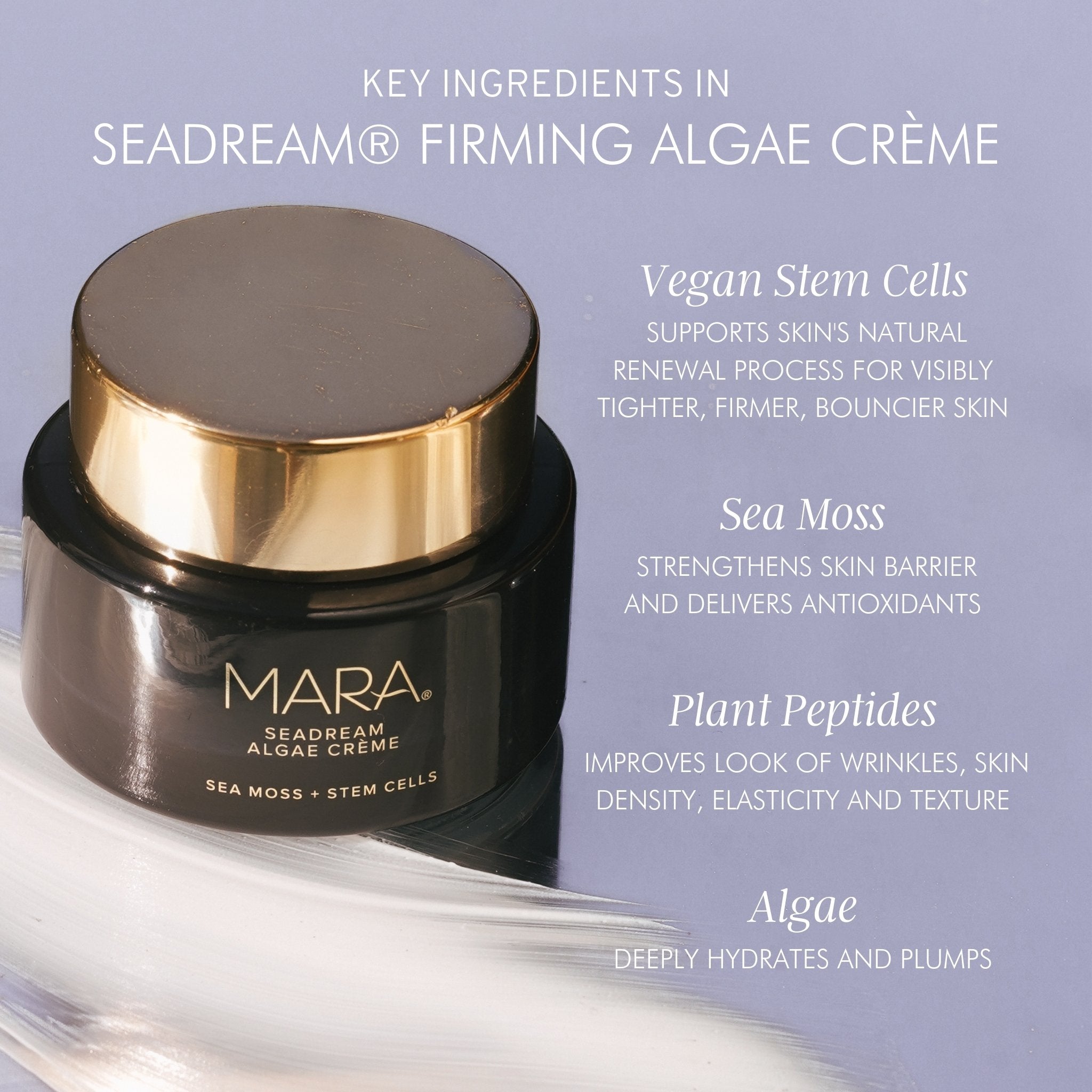 Sea Moss & Stem Cell Firming Algae Cream - Anti-Aging Face Moisturizer for Wrinkles & Fine Lines - Hydrating & Lifting Skincare for Daily Use & Night Routine