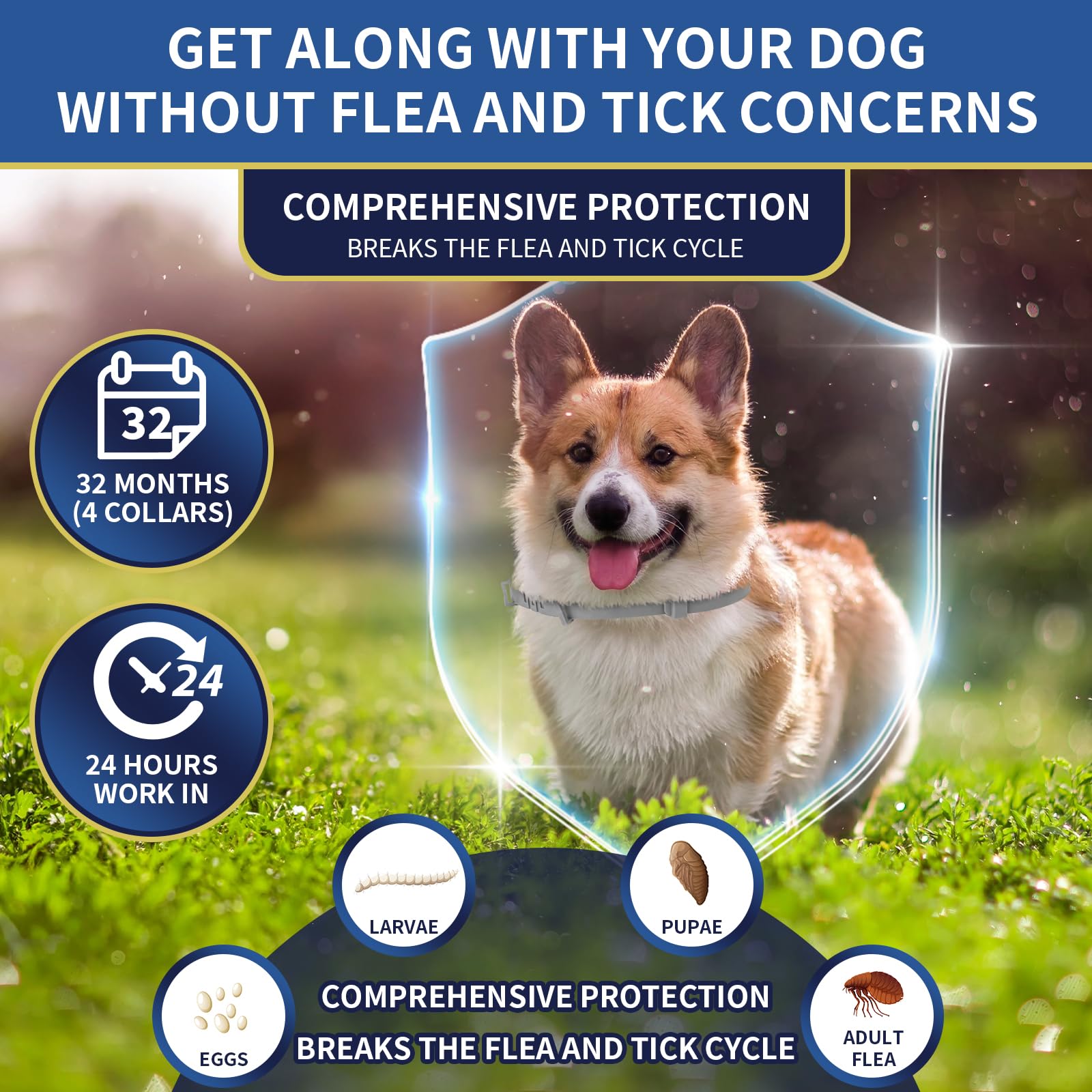 4 Pack Flea and Tick Collar for Dogs - 8 Month Protection, Adjustable & Waterproof Flea Collar for Dogs & Puppies, Flea & Tick Prevention Treatment (Pink, Black, Orange, Gray) - Perfect for Outdoor Adventures, Hiking, and Daily Walks