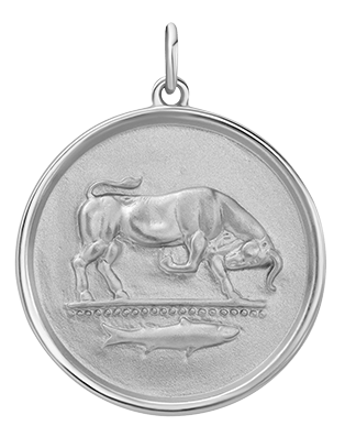 Orion Pendant Necklace - 925 Sterling Silver Jewelry for Women - Perfect for Everyday Wear, Gifts & Special Occasions