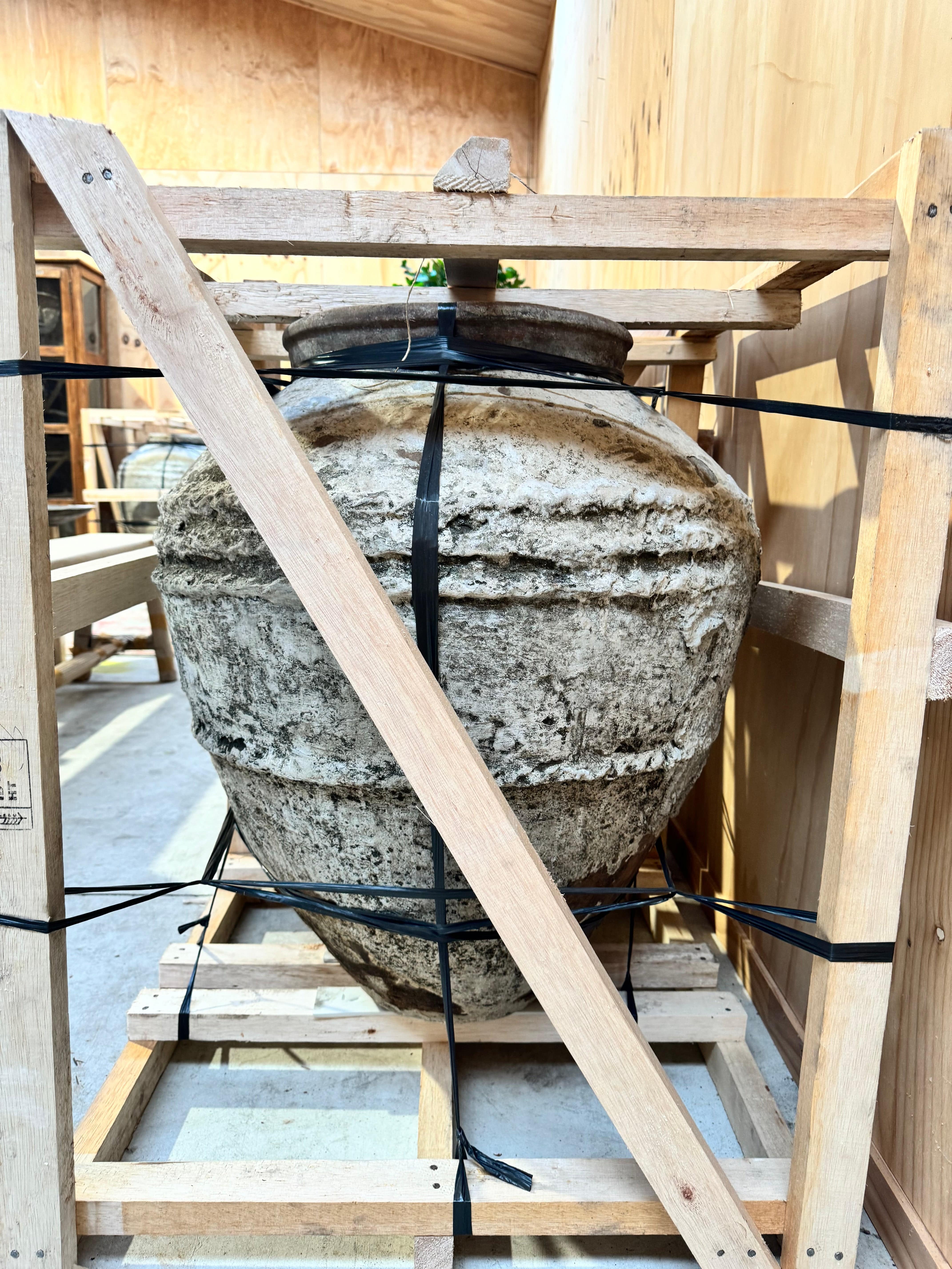 Textured Terracotta Flower Pot with Drainage Hole and Wooden Stand - Perfect for Indoor Plants, Succulents, and Home Decor