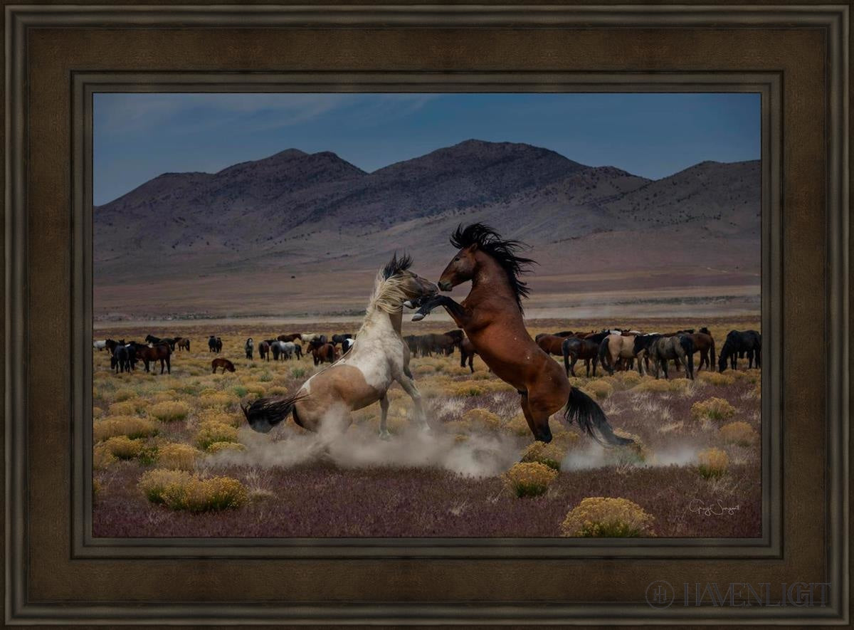 Desert Duel 5 by Greg Sargent - Western Action Novel - Perfect for Book Clubs & Cowboy Adventure Fans