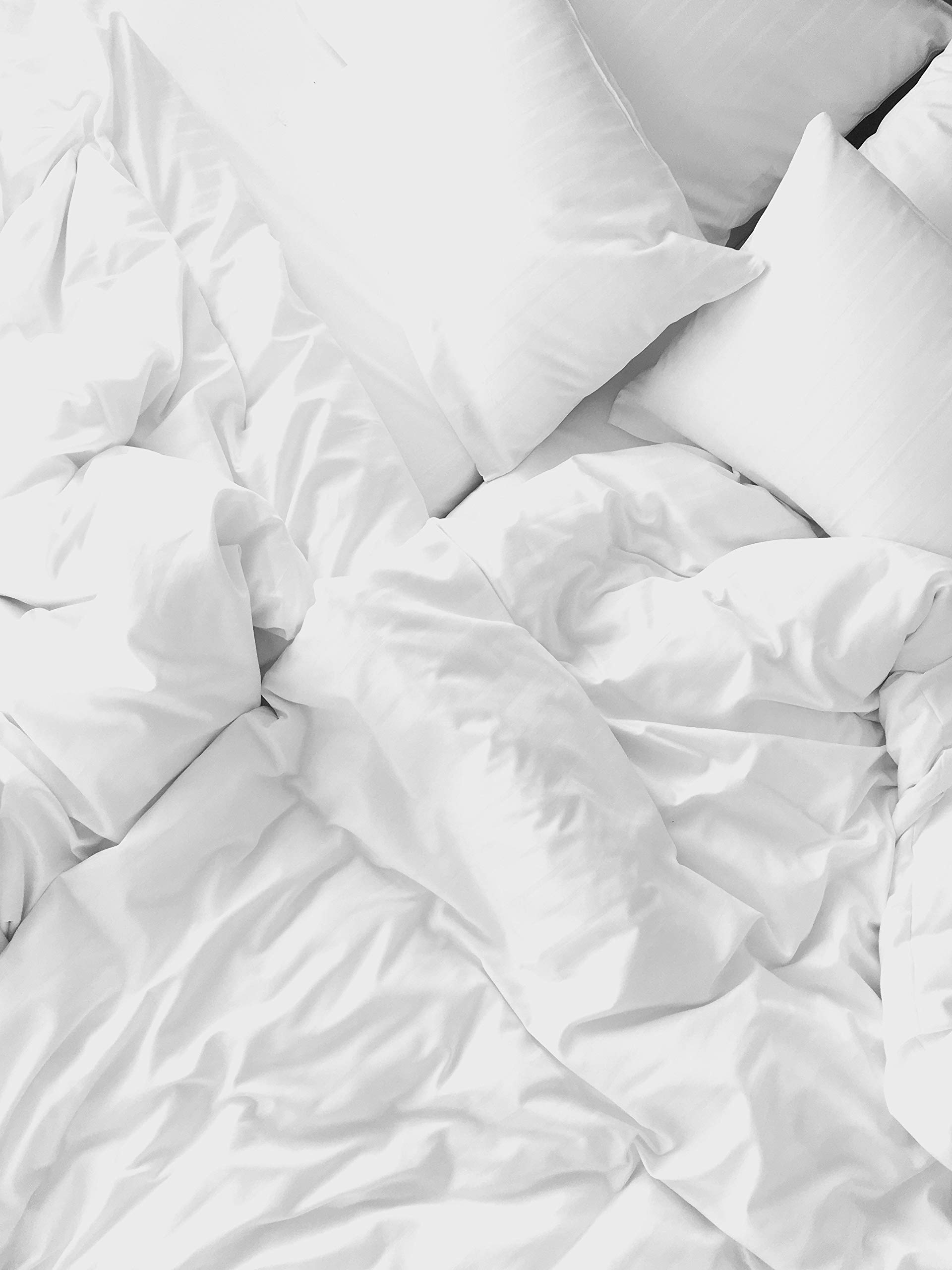 Tache Home Fashion Super Soft Bulk Wholesale Hotel Bed Sheets Set - Premium 100% Cotton Bedding for Motel, Dorm & Guest Rooms (Perfect for Hospitality Business & Home Use)