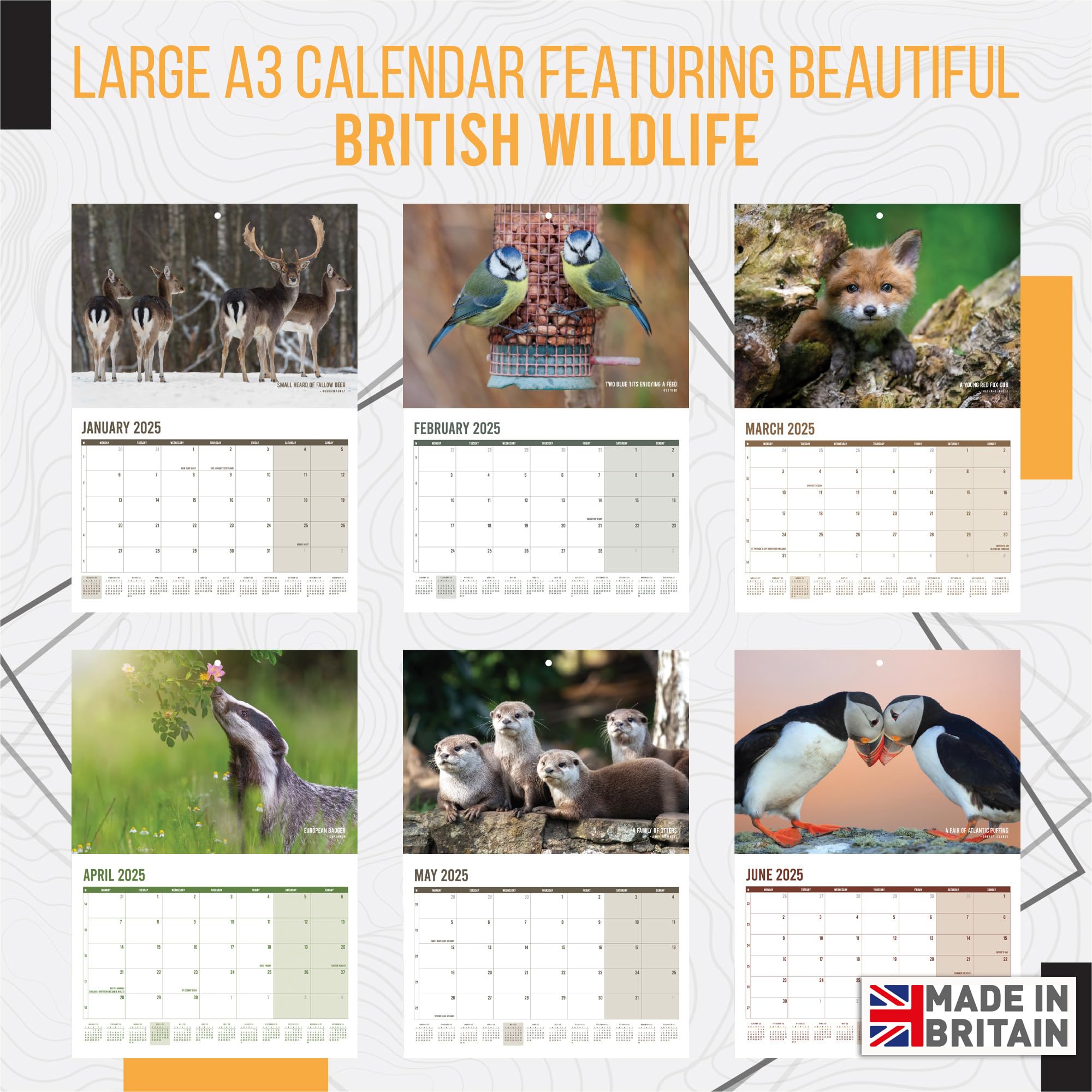 **2025 British Wildlife Calendar - A3 Month-to-View with 12 High-Resolution Nature Photos | Perfect Gift for Nature Lovers, Birthday & Holiday Presents | Ideal for Home, Office & Classroom Decor**