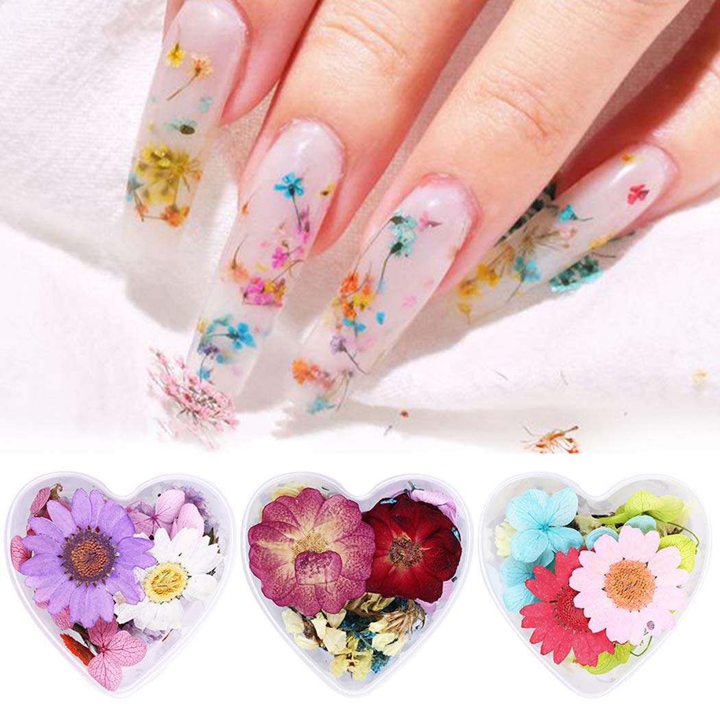 SOWUNO 3 Box Pressed Flower Nail Art Kit - 3D Mini Dried Flowers for Nail Decoration, DIY Crafts, Scrapbooking & Home Decor | Perfect for Wedding, Party & Gift Giving