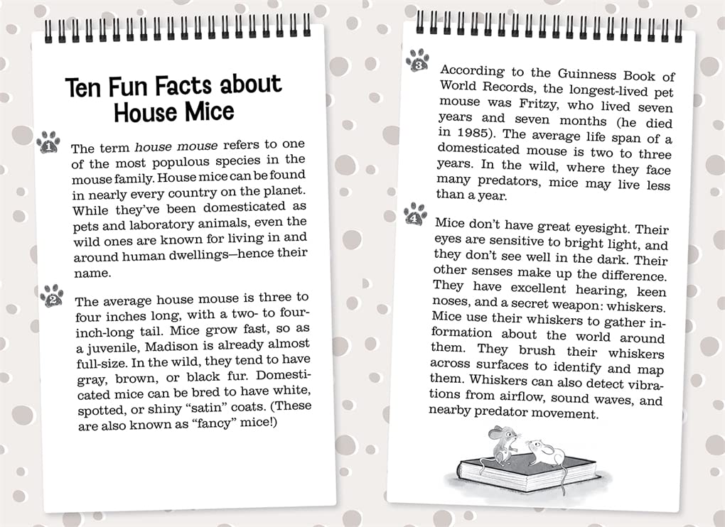 Madison Morris Is NOT a Mouse! (Class Critters #3) - Fun Chapter Book for Kids | Perfect for Classroom Reading & Bedtime Stories