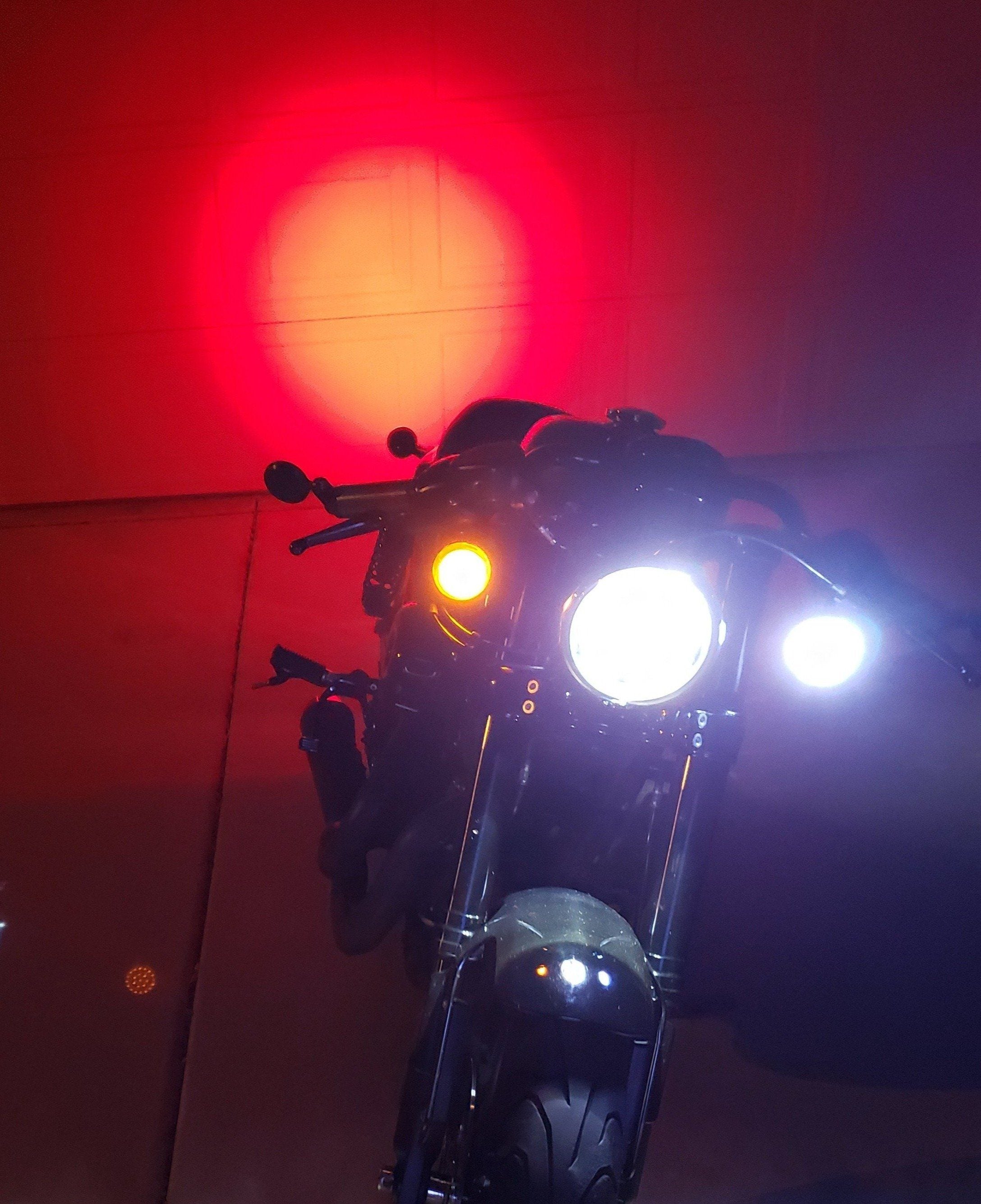 Eagle Lights 2