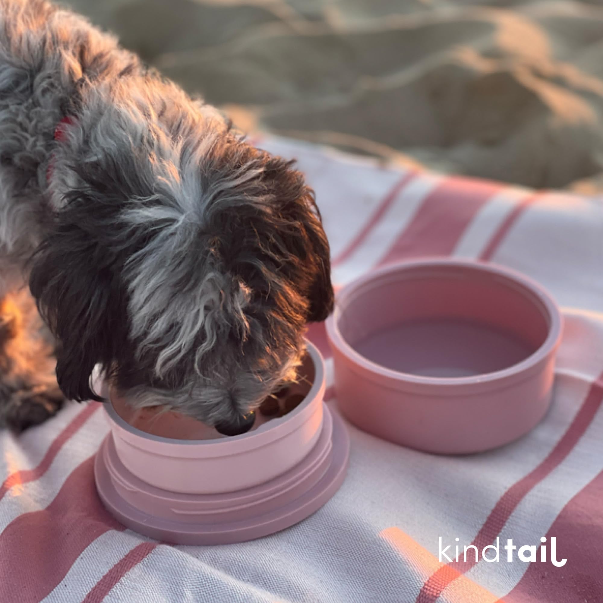 KindTail 2-Pack Portable Dog Travel Bowls - Collapsible Pet Food & Water Dish Set with Lid, Handle & Non-Slip Silicone Base - BPA Free, Microwave & Dishwasher Safe - Perfect for Hiking, Camping & Road Trips