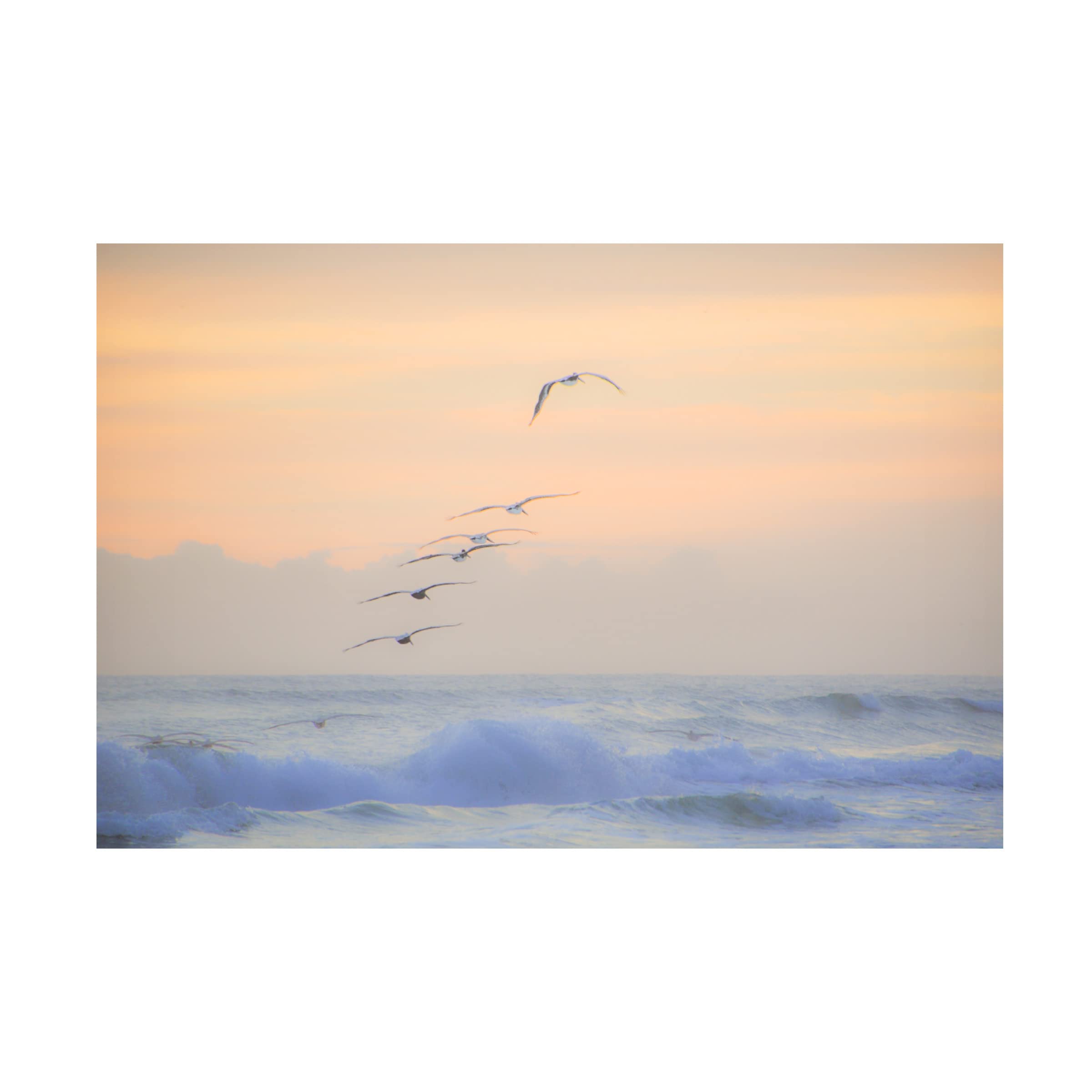 Blue Palomino 'Pelicans Over Lavender Wave' Canvas Wall Art - Handmade Nature Painting for Coastal & Beach House Decor