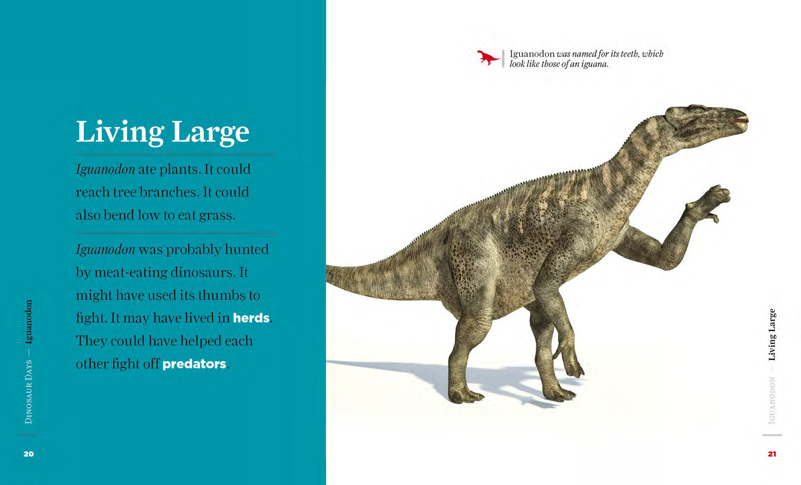 Iguanodon Dinosaur Book 978-1-64026-047-4 - Educational Paleontology Resource for Kids & Adults | Perfect for School Projects, Home Learning & Dinosaur Enthusiasts