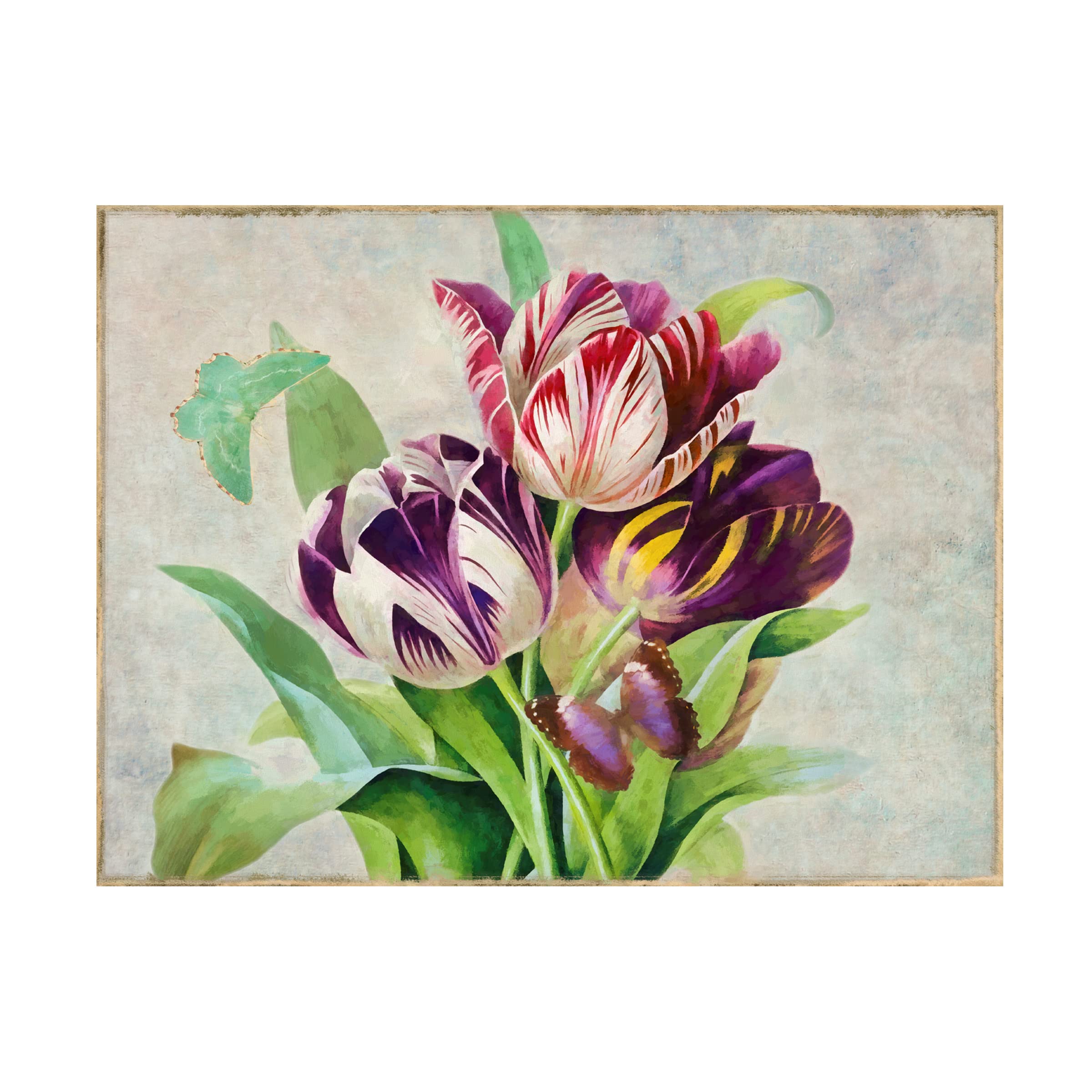 Trademark Fine Art 'Bouquet Tulips I' Floral Canvas Wall Art by Cora Niele - Perfect for Living Room, Bedroom & Office Decor