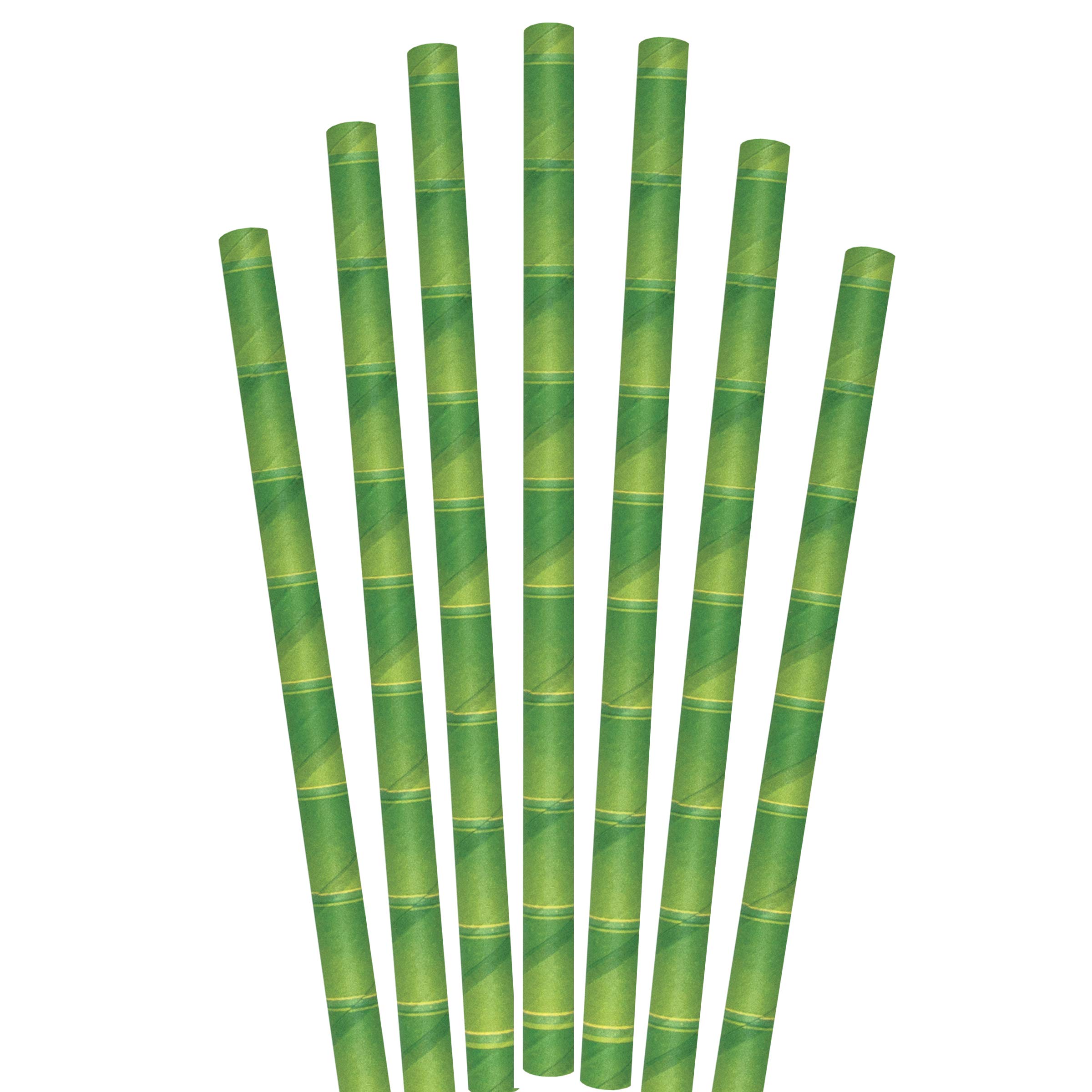 Biodegradable Eco-Friendly Paper Straws - 5.75 Inch Compostable Bamboo Giant Unwrapped Drinking Straws (4400 Count) for Parties, Restaurants & Sustainable Events