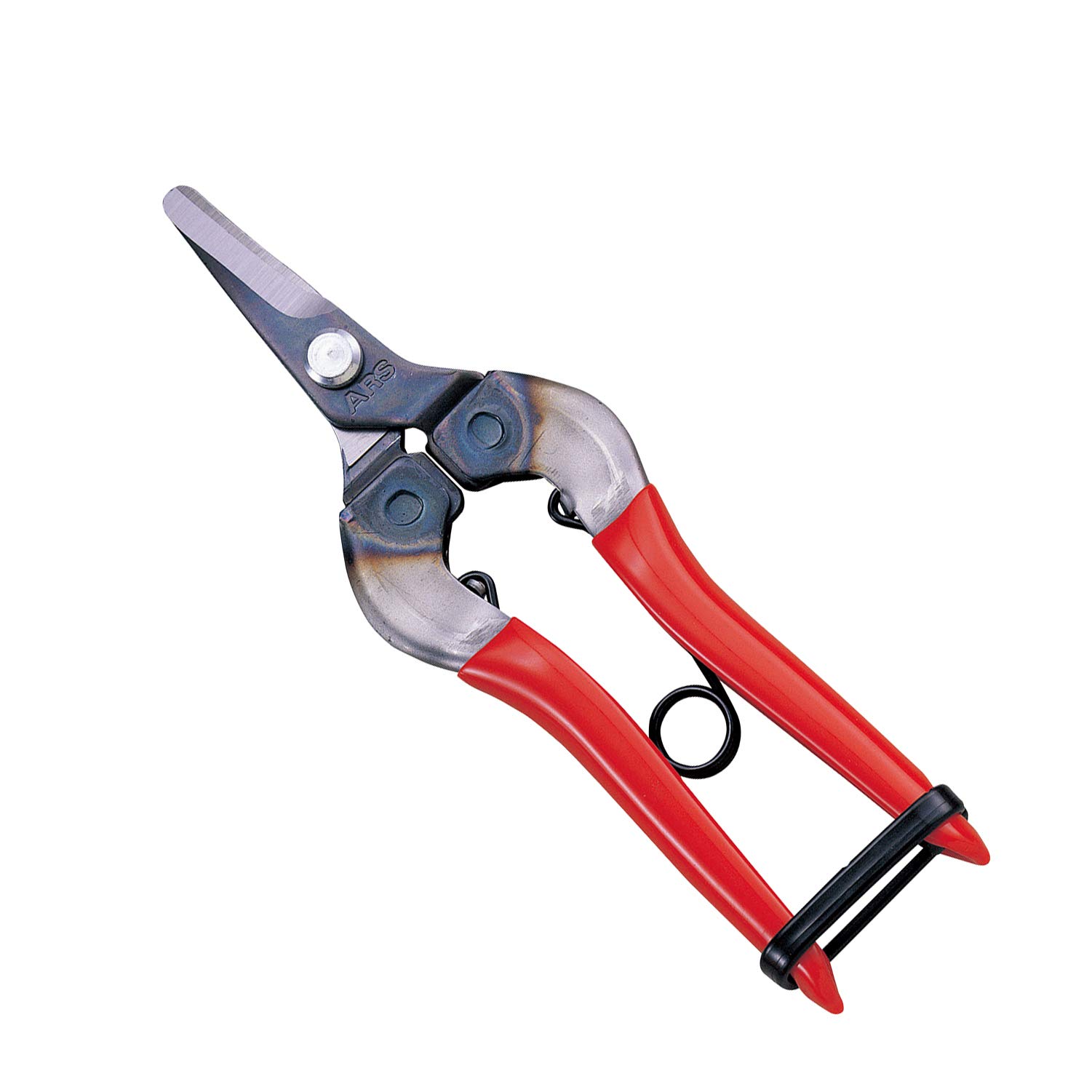 ARS HP-310 Professional Curved Blade Fruit Pruner - Sharp Bypass Pruning Shears for Gardening, Harvesting Apples, Peaches & Citrus Fruits - Ideal for Home Gardeners & Orchard Workers