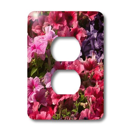 3D Rose LLC lsp_11196_6 Pink 2 Plug Outlet Cover - Decorative Wall Plate for Home & Office Decor