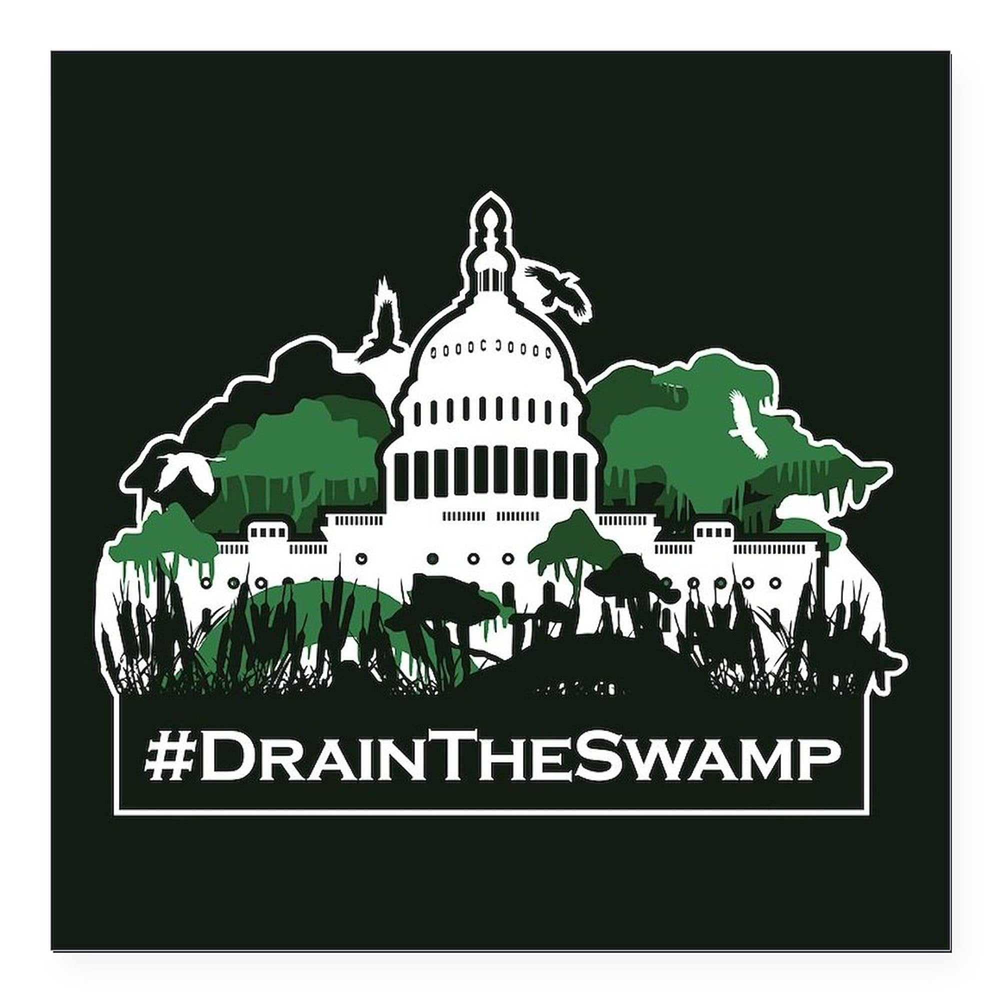 Trump Drain The Swamp 3x3 Inch Square Car Magnet - Strong Bumper Sticker for Political Supporters - Perfect for Cars, Trucks & Metal Surfaces to Show Your Patriotism