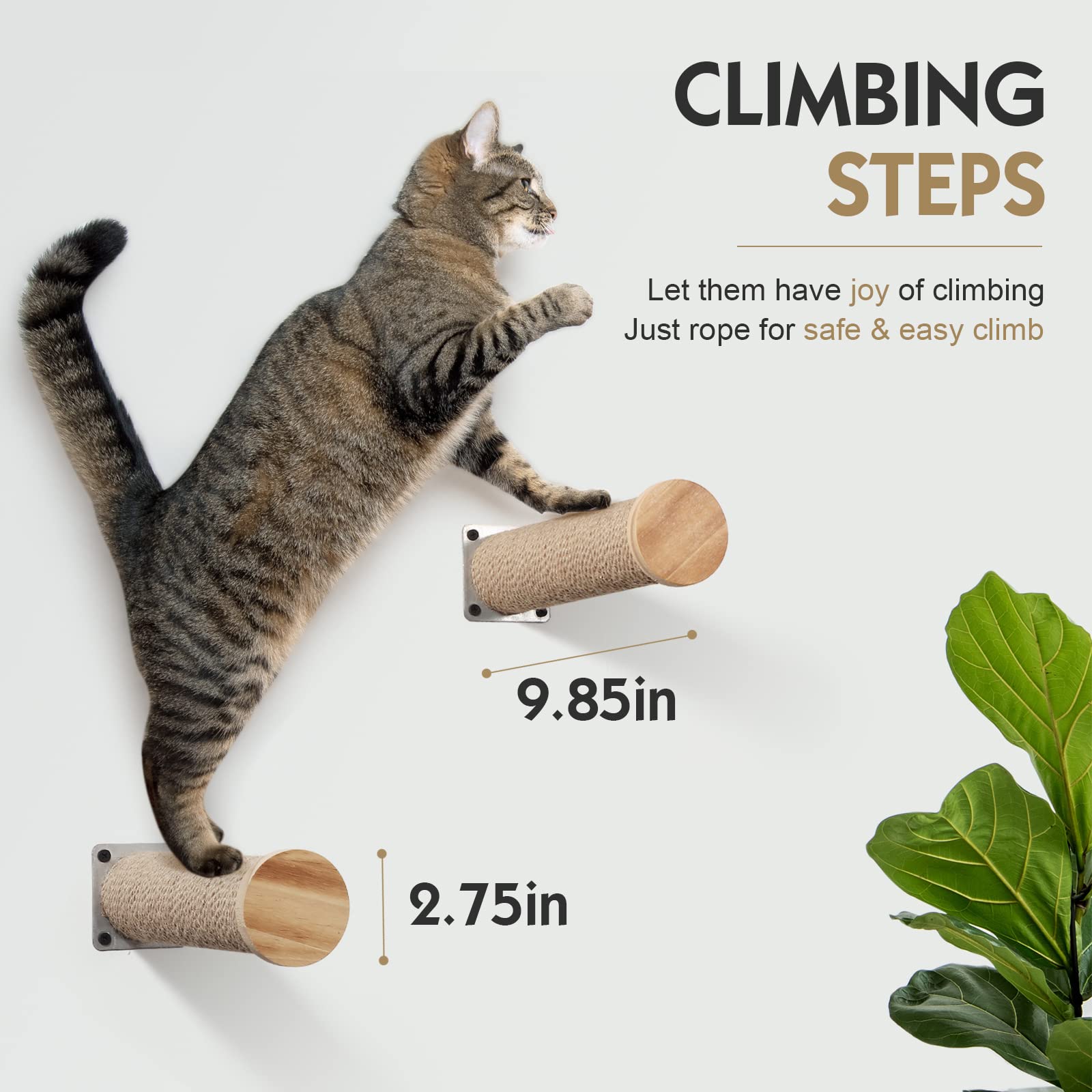 Premium Wall-Mounted Cat Hammock & Perch with 2 Steps - Modern Cat Wall Shelves for Indoor Cats - Grey Cat Furniture for Sleeping, Playing & Climbing - Perfect for Small Spaces & Cat Enrichment