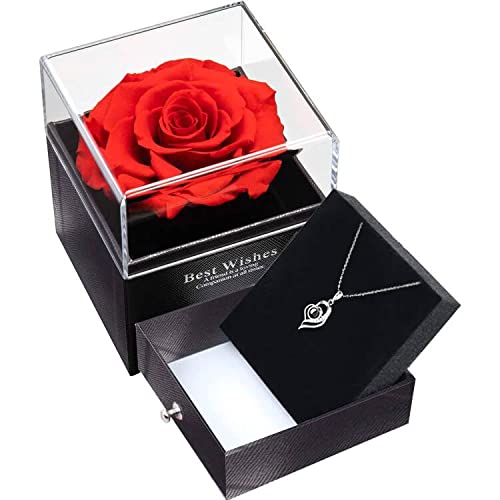 Eternal Preserved Rose Gift Set with 'I Love You' Necklace in 100 Languages - Forever Rose Box for Women, Mom, Wife - Perfect for Mother's Day, Valentine's Day, Anniversary, Birthday & Wedding - Romantic Home Decor & Luxury Keepsake