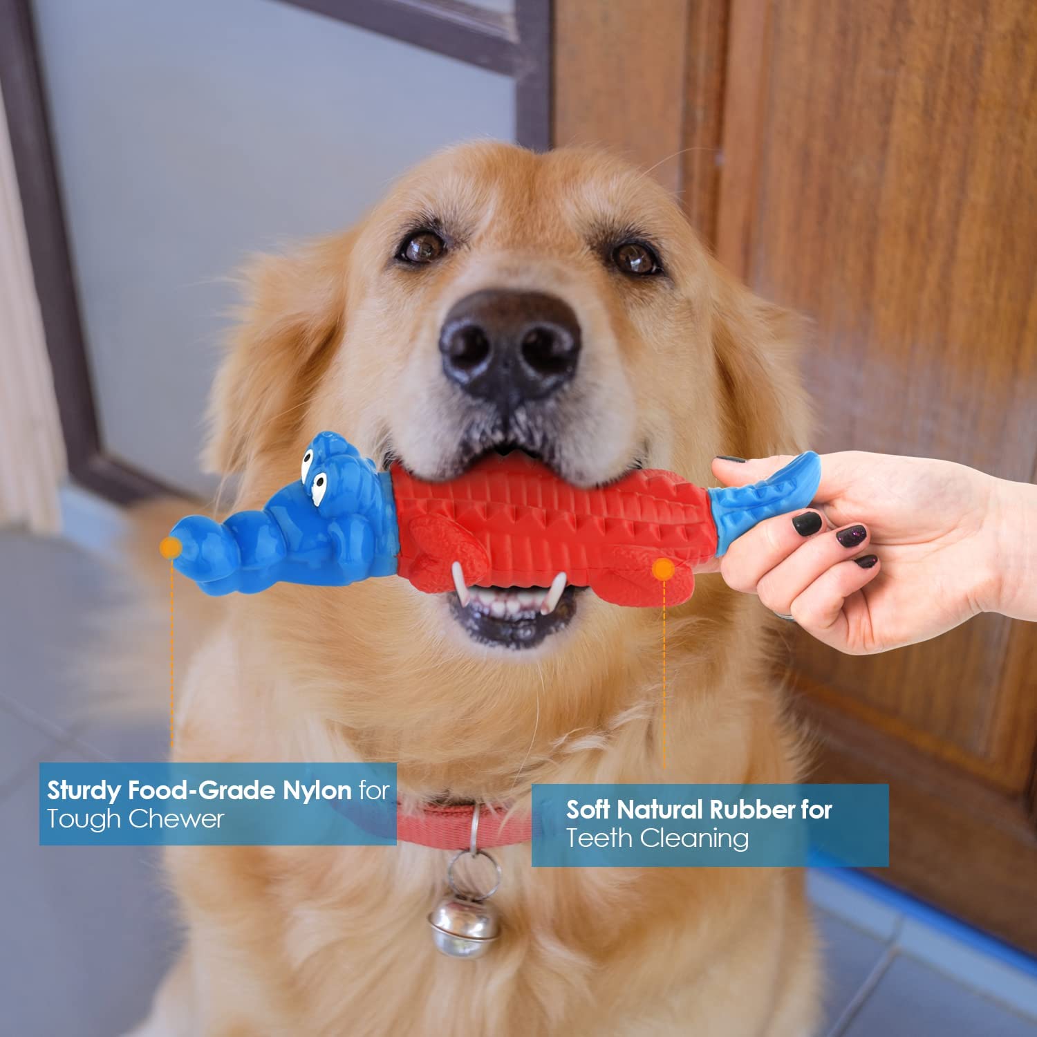 Squeaky Dog Ball and Chew Toy Set for Small & Large Dogs - Durable Pet Chew Toys for Aggressive Chewers - Interactive Play & Teeth Cleaning (Great for Fetch, Training, and Indoor/Outdoor Play)