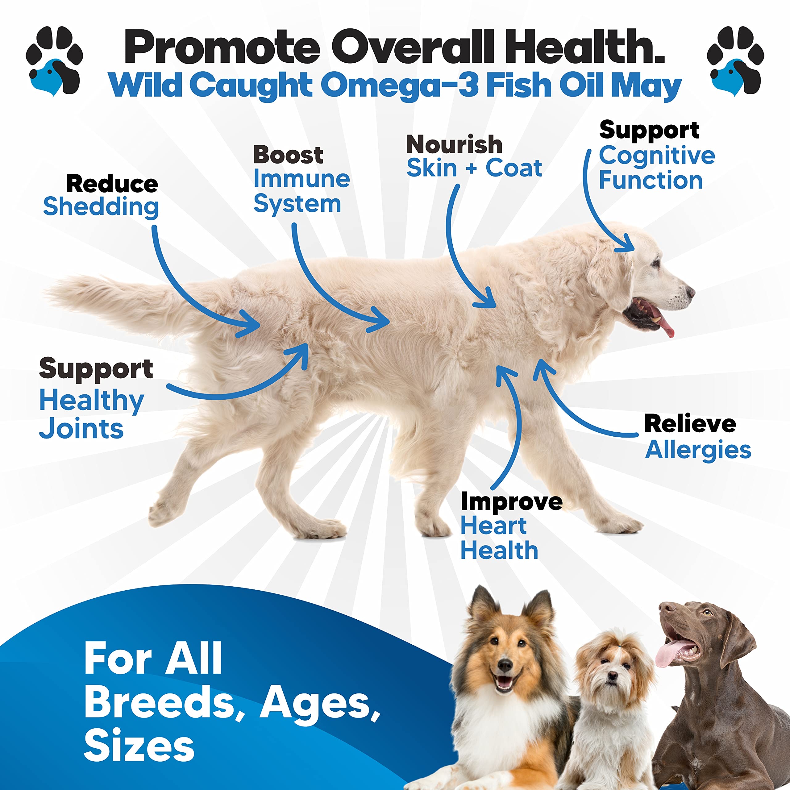 Premium Omega 3 Fish Oil for Dogs - Advanced Dog Supplement for Healthy Skin & Coat - Reduces Shedding & Itching - Supports Joint, Brain & Heart Health - Better Than Salmon Oil - Liquid Fish Oil for Daily Wellness - Perfect for Active Dogs & Senior Pets