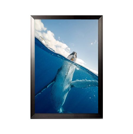 12x18 Poster Frame - SwingFrame Carbon Steel Display for Photos, Artwork & Posters - Perfect for Home, Office & Gallery Decor